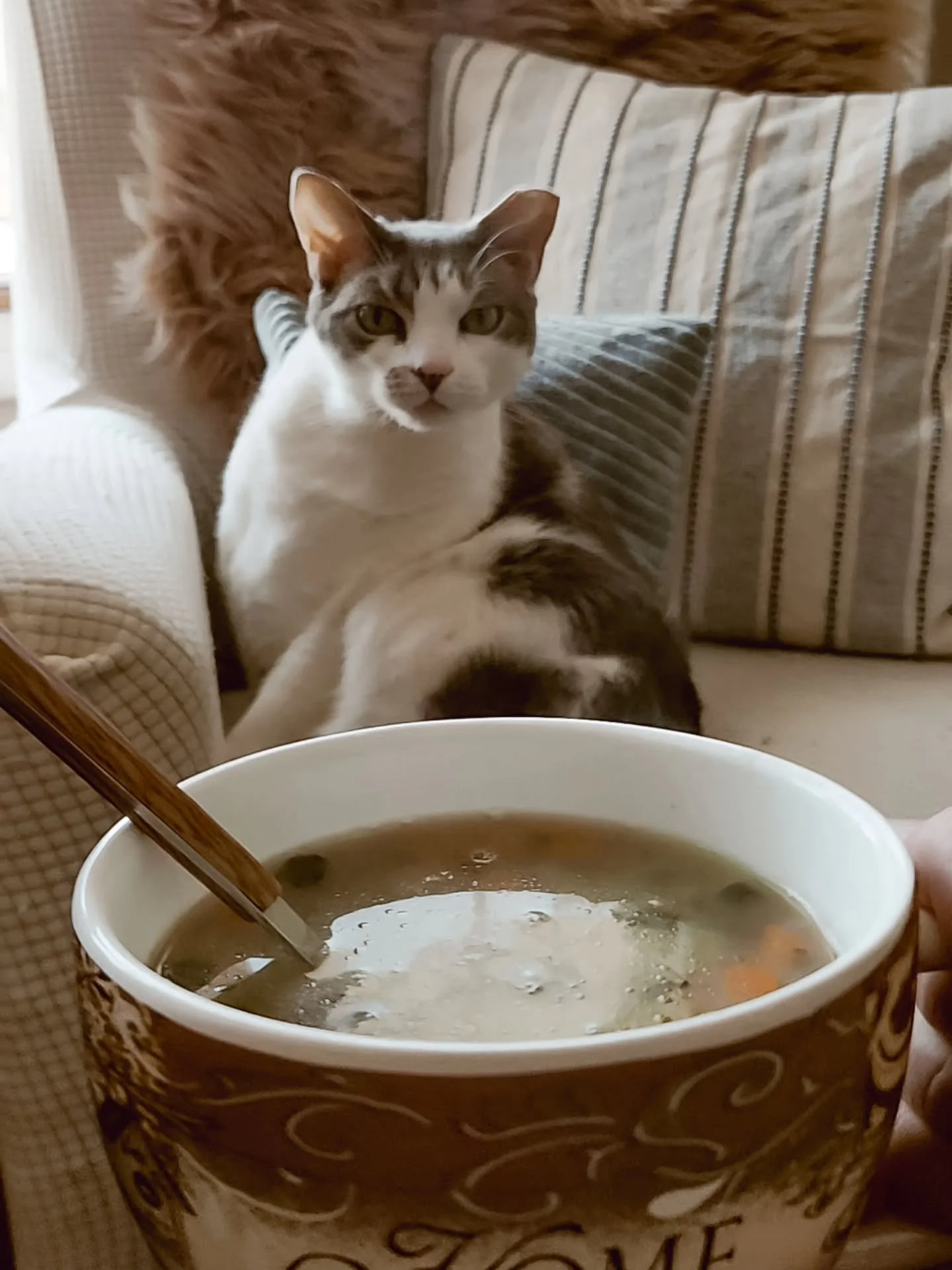 Some seasons are for creating.
Some are for sitting in it.
I&rsquo;m in the second one this week.