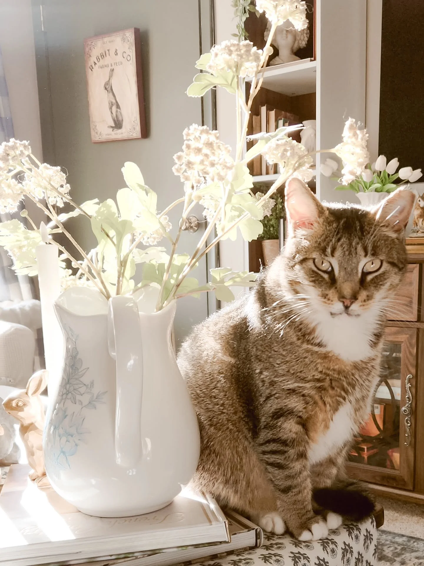 Sunday stills:

Styling tip: add flowers.
Second tip: hope the cat cooperates.