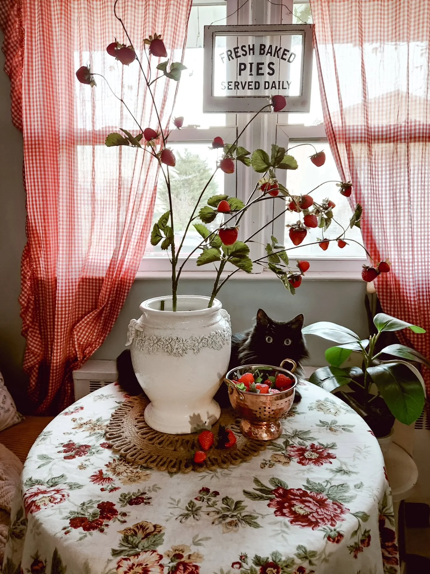 not your typical friday flowers&hellip; 🍓

but I think they count

go see what everyone else is sharing today...

🌸Jen @decordesignswithjen 
🌸Eva @lyckebohem 
🌺Darla @mysweetgeorgiahome 
🌸Patty @1greenacreslane 
🌺Karen @mycozybrickcottage