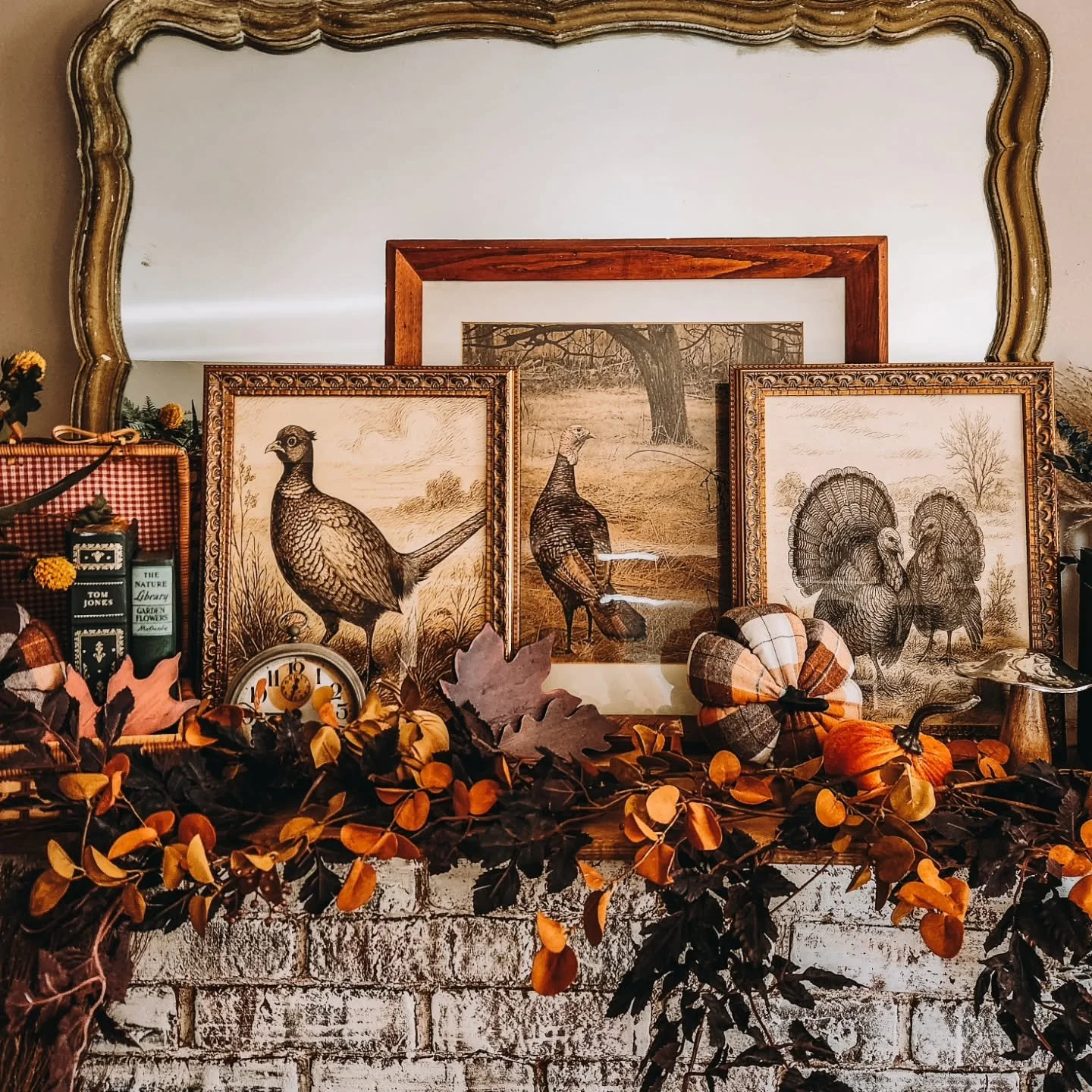 One last look at last fall before a new fall season begins 🍂

I always love looking back at how our home felt the year before. Some things will return, some will find a new spot, and I already know I&rsquo;ll change my mind a dozen times along the w