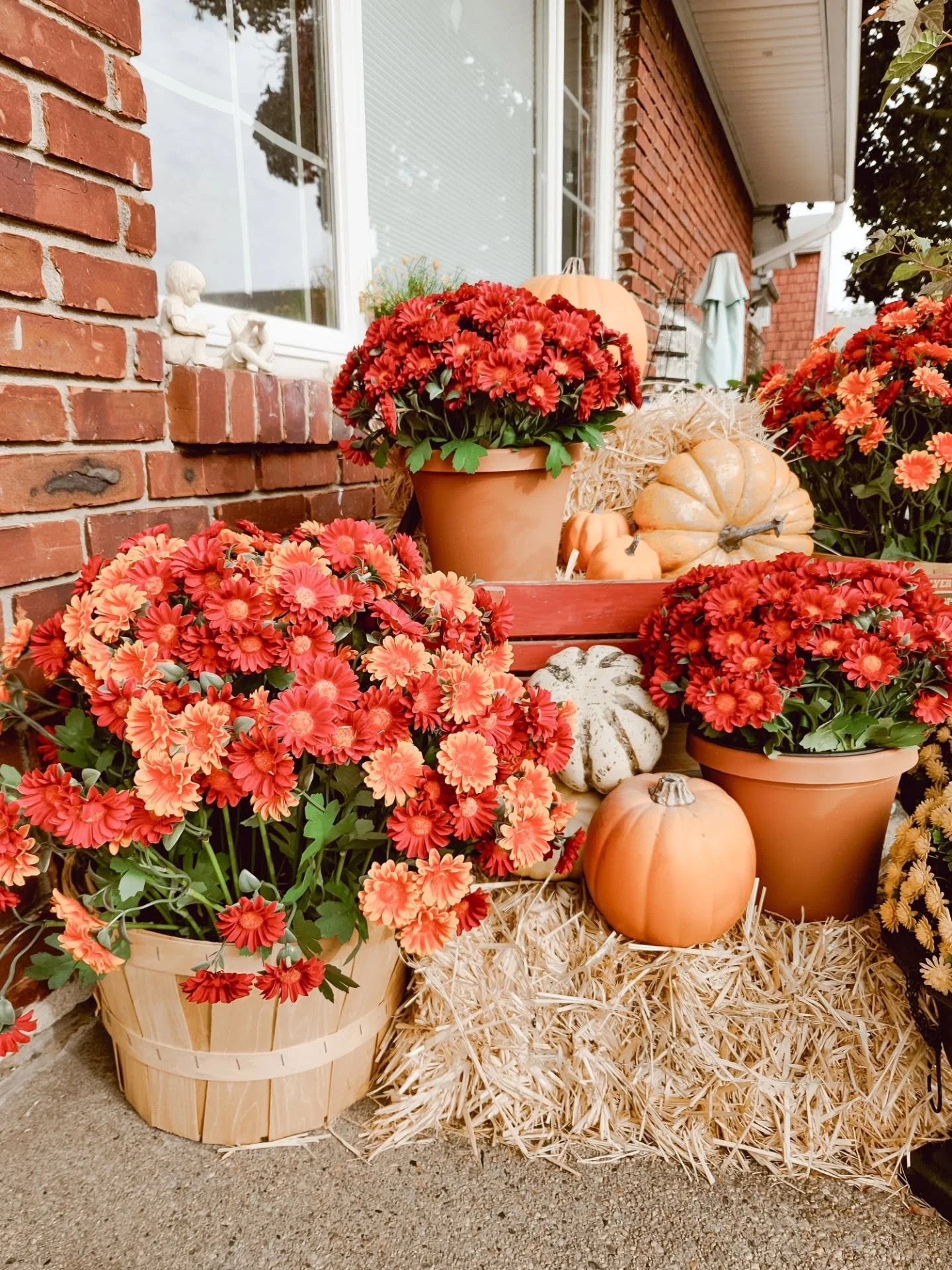 A little fall, a little Halloween, and a whole lot of pumpkins. 🎃🍂

This is my favorite time of year to decorate because everything starts to feel a little more cozy and a little more magical.

From the mums and pumpkins outside to the smiling jack