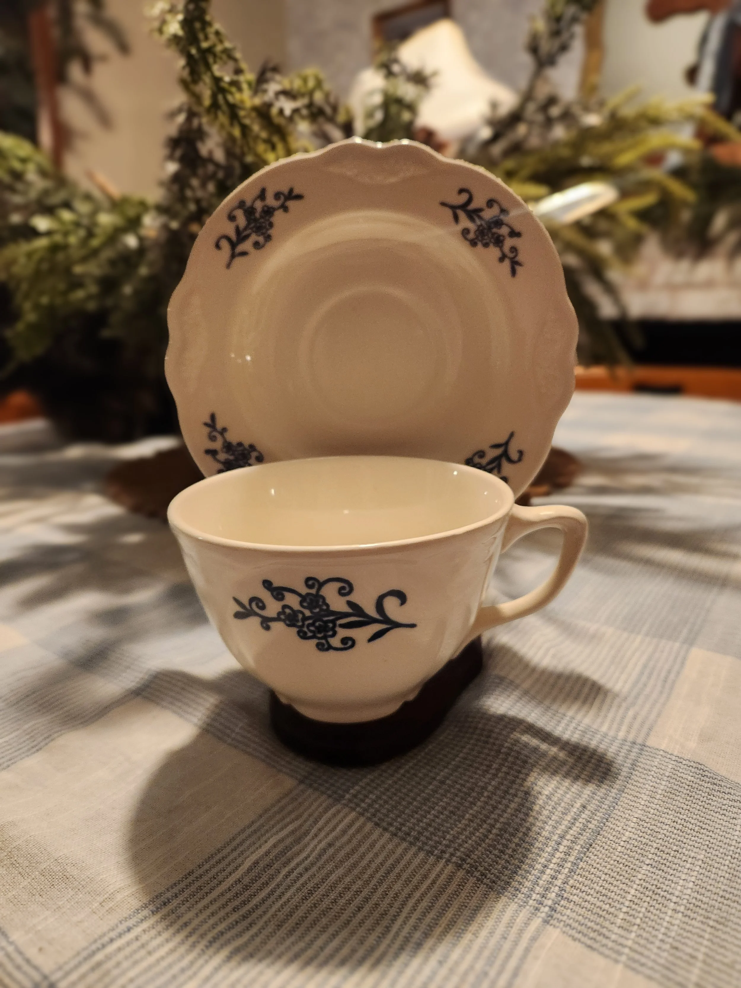 Vintage Dresden Blue Teacup & Saucer Set