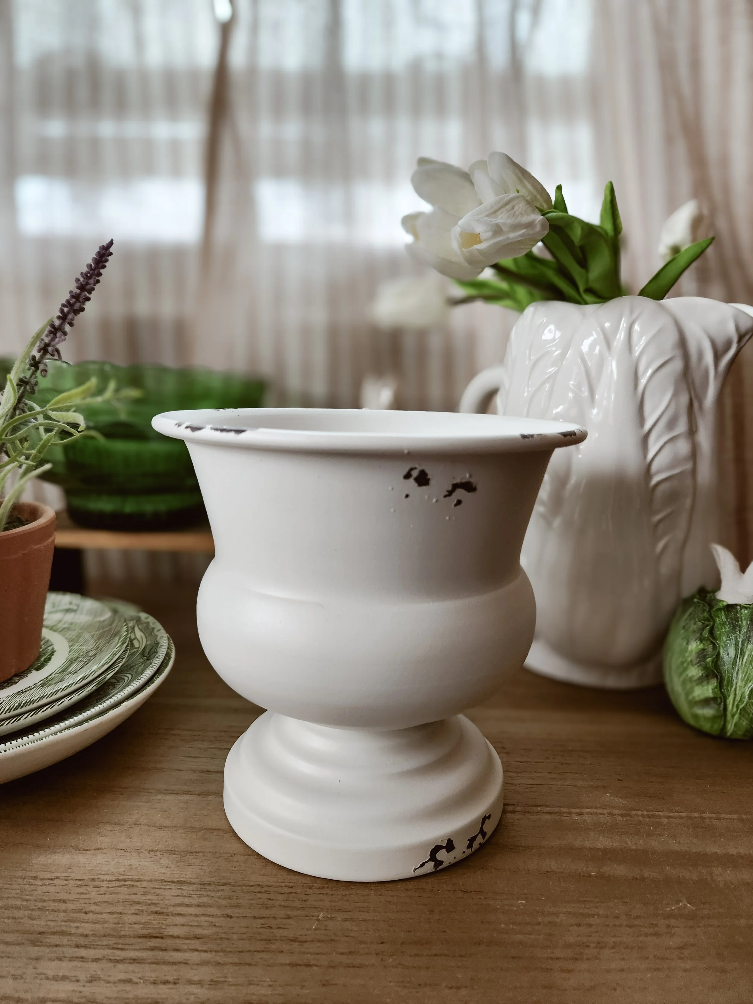 20260222_112935 (1).jpg