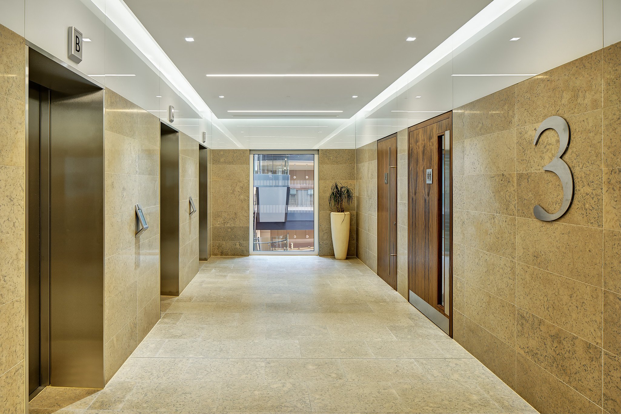 Hallway with three elevator doors on the left, a glass door at the end, and a potted plant on the right.