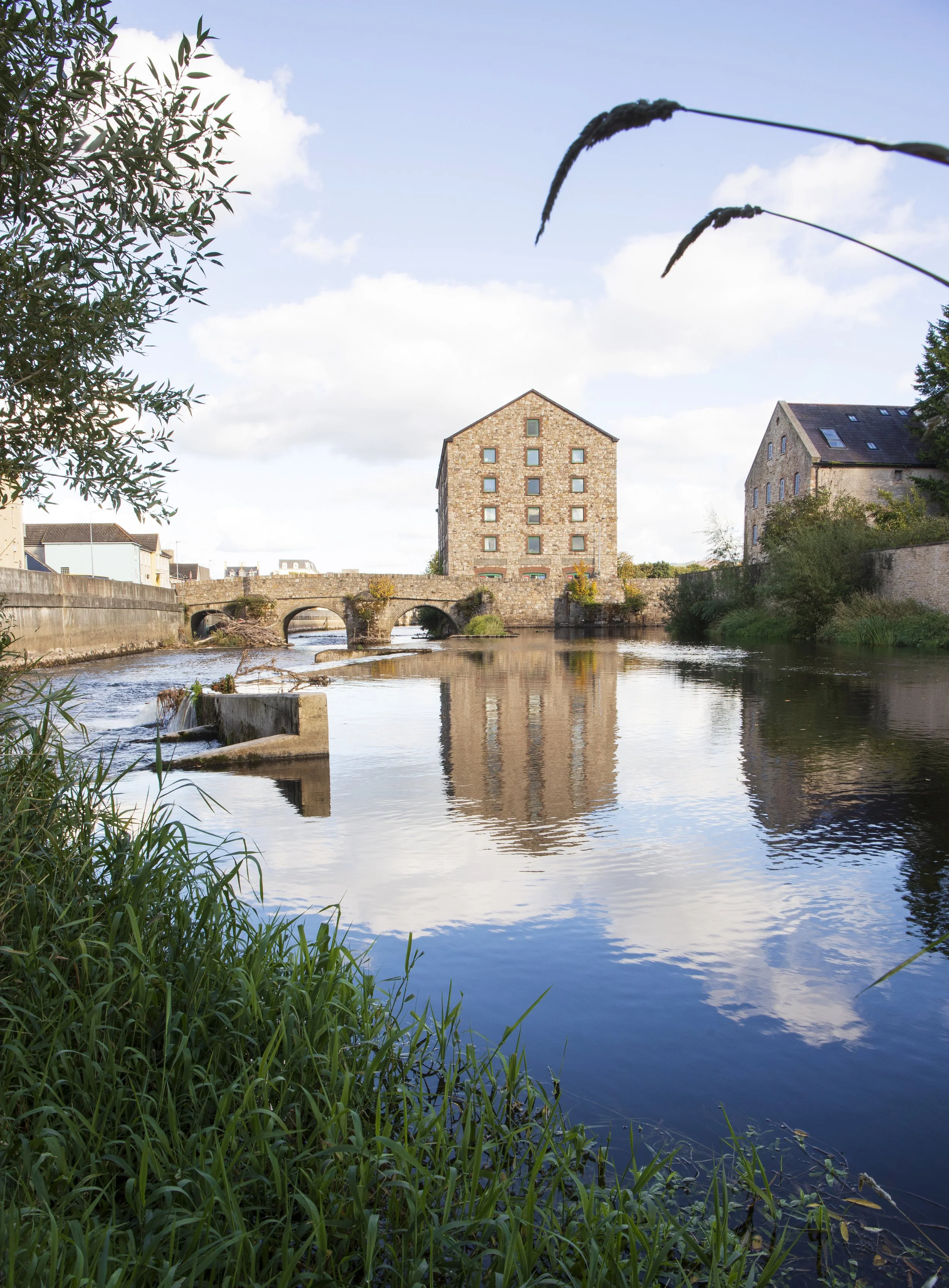 A river flowing through a town with historic stone buildings and a stone bridge. Green plants are in the foreground, and the sky is partly cloudy with reflections on the water.