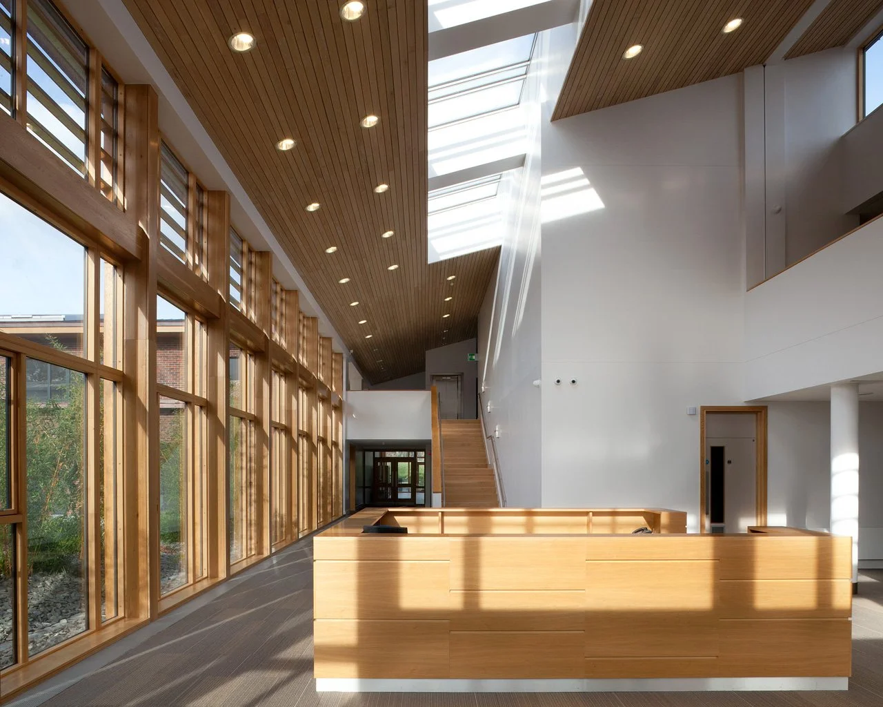 Modern interior with large wooden reception desk, floor-to-ceiling windows with wooden framing, skylight, and wood paneled ceiling, bright natural lighting.