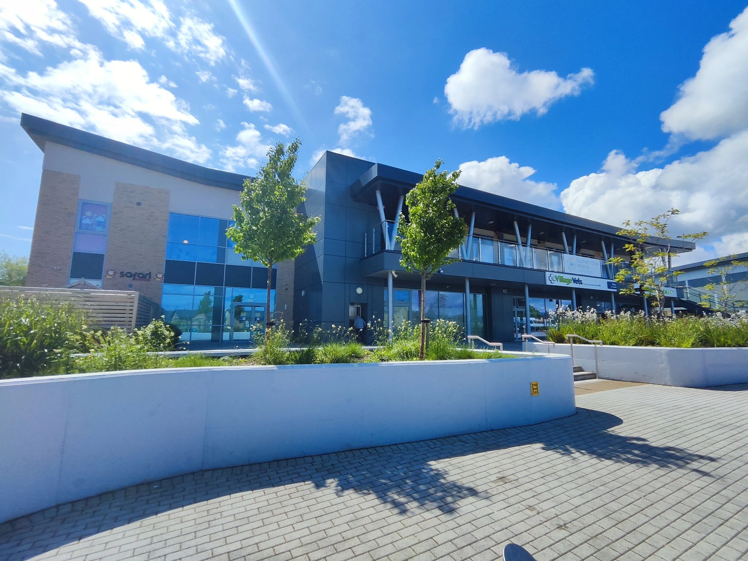 Modern shopping center with trees and plants, clear blue sky with clouds, and storefronts including Village Vets.