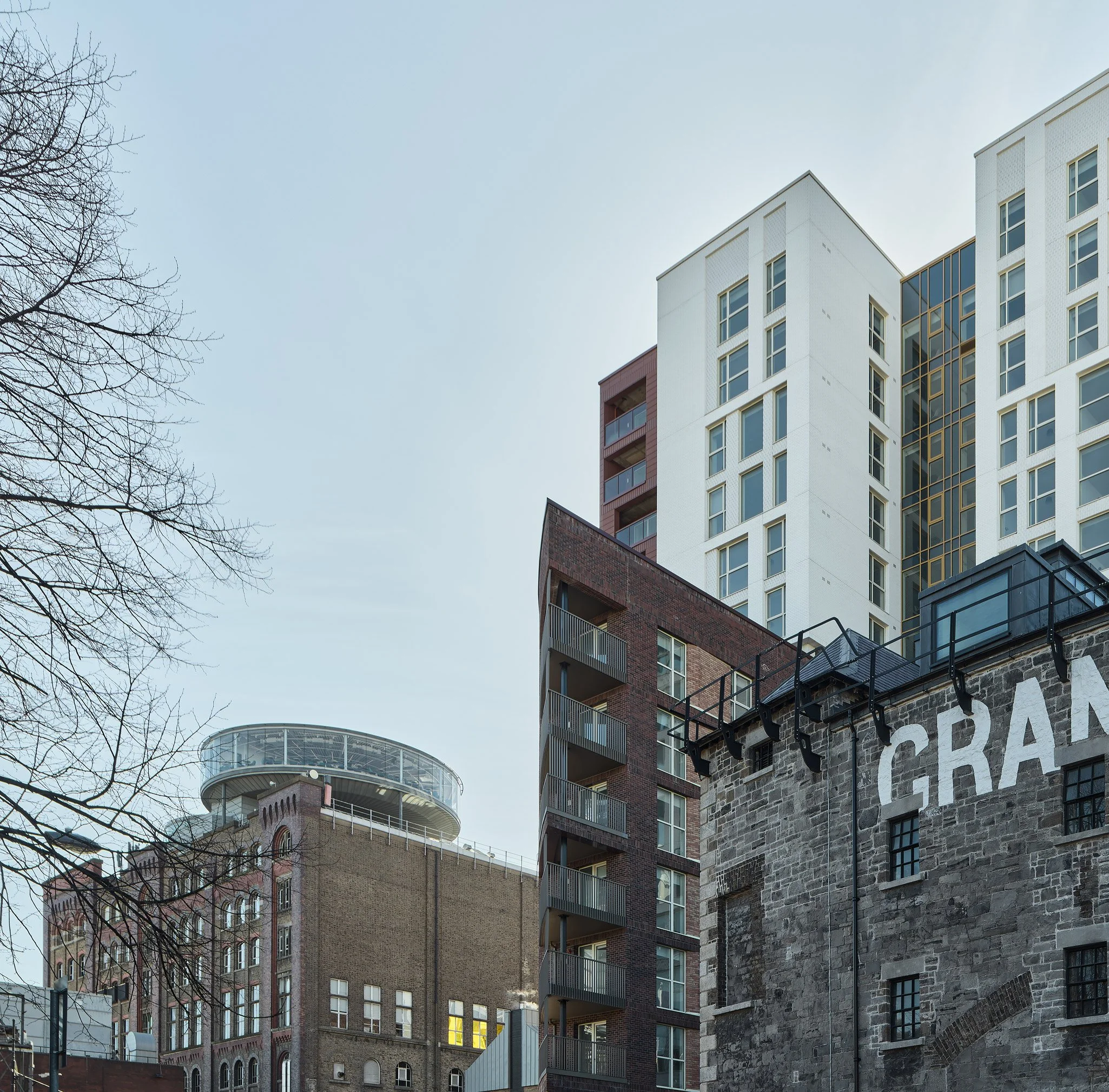 A cityscape with modern and historic buildings under a clear sky, with a leafless tree on the left.