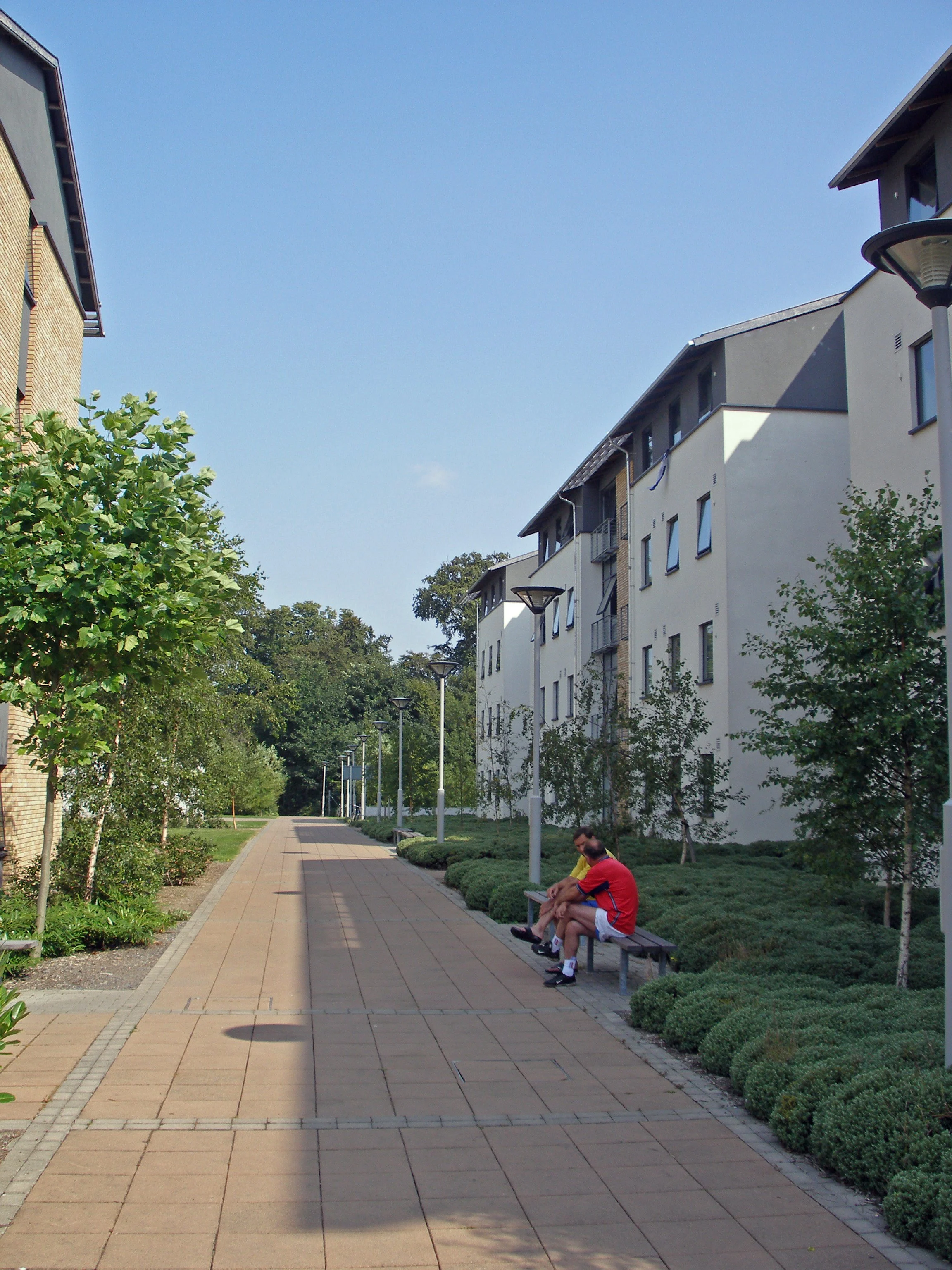 Two people sitting on a park bench along a sidewalk in a residential area with modern apartment buildings, trees, shrubs, and street lamps on a sunny day.