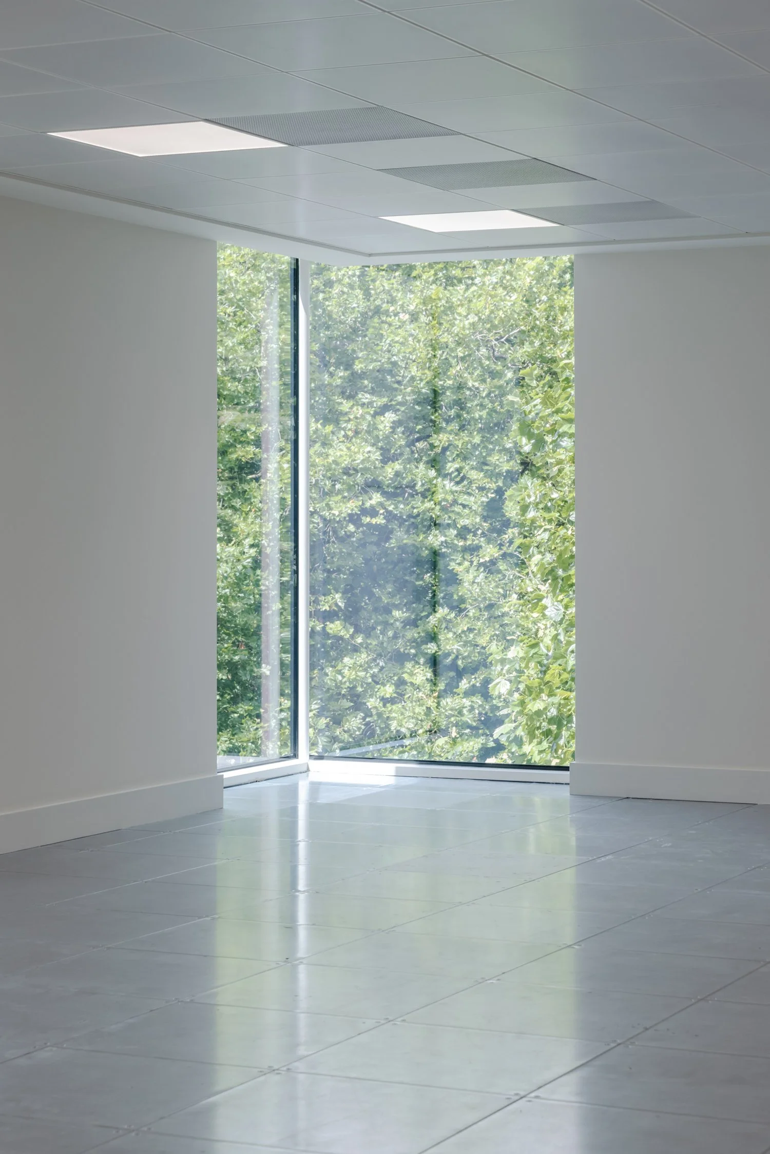 Empty room with large window and green trees outside.