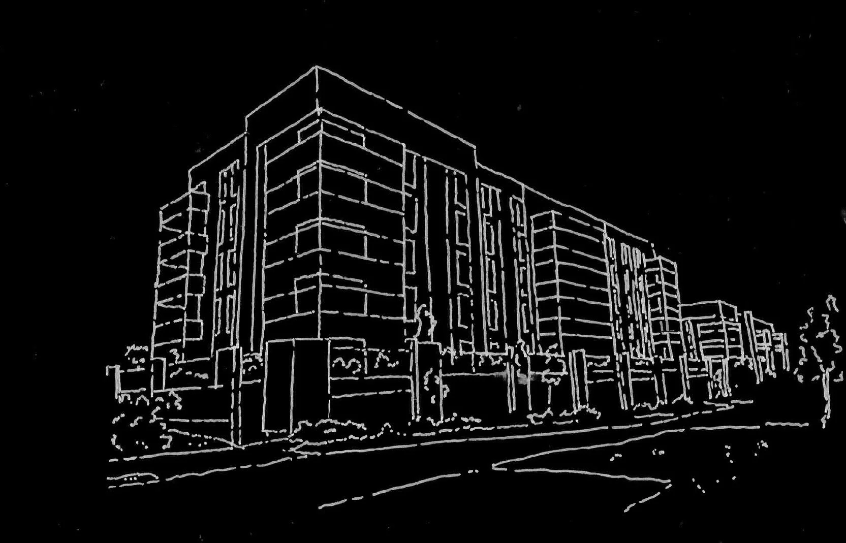 Line drawing of modern multi-story apartment building with trees and street in foreground, skyline at night.
