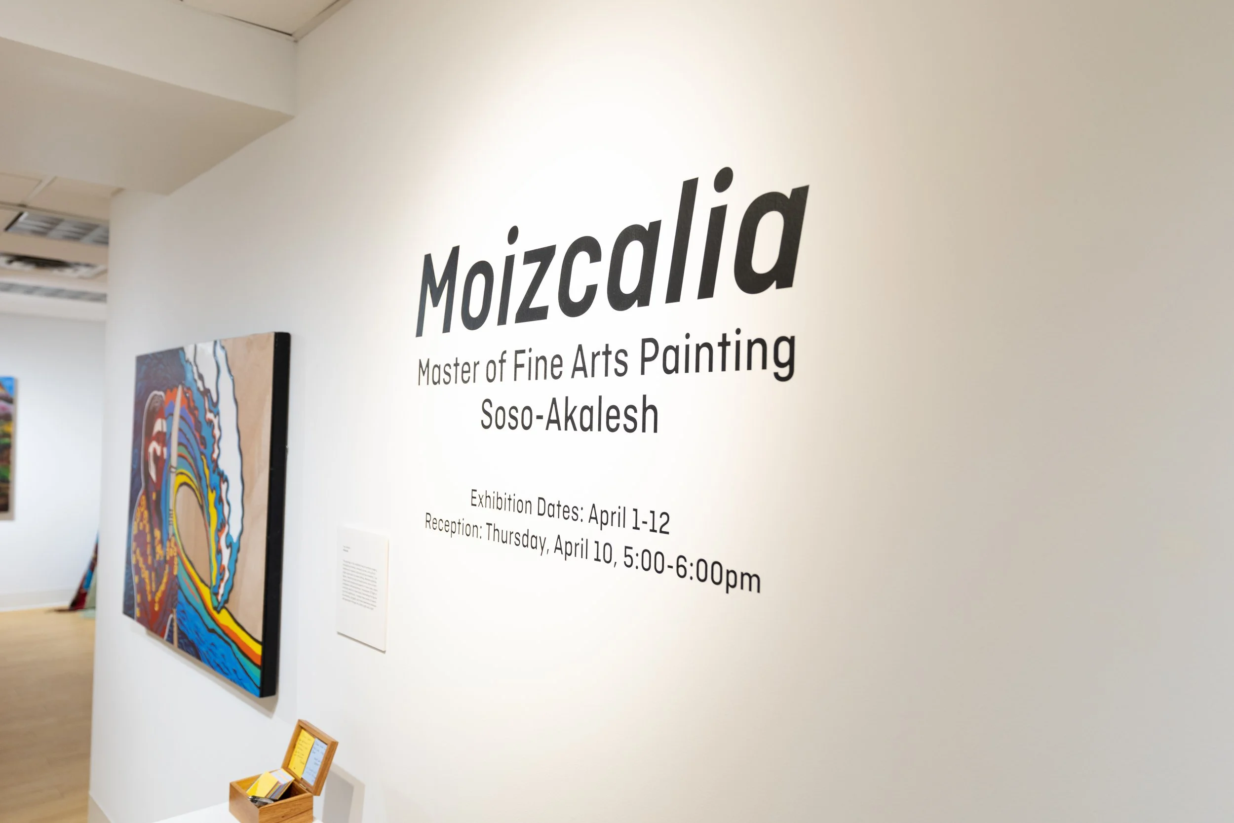 Showcase at Spark Gallery