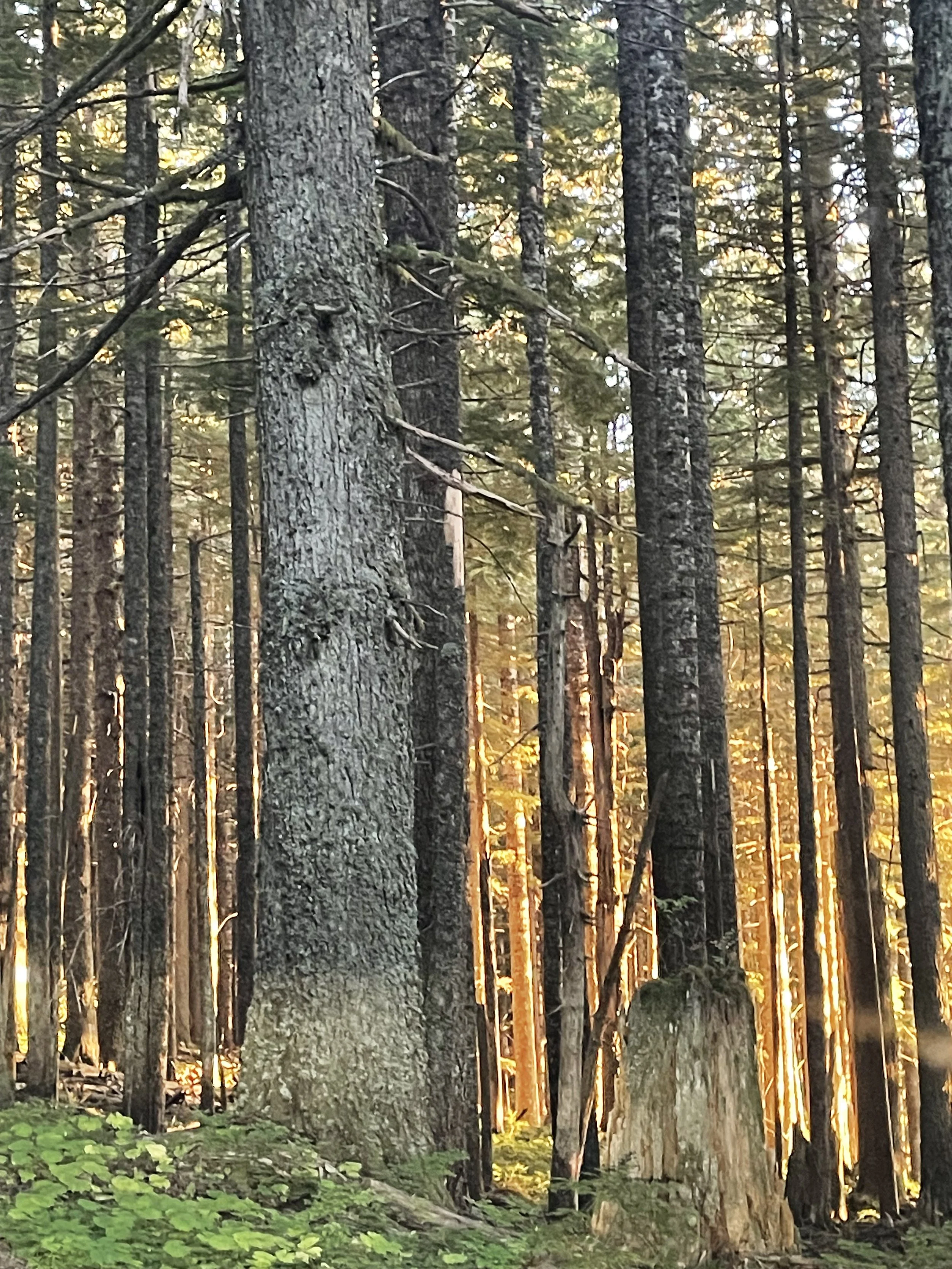 Commitment to Change Package