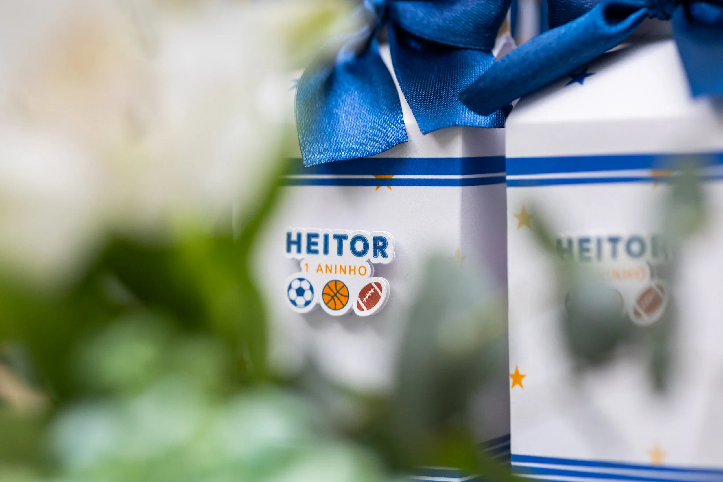 Heitor 1 Ano-10.jpg