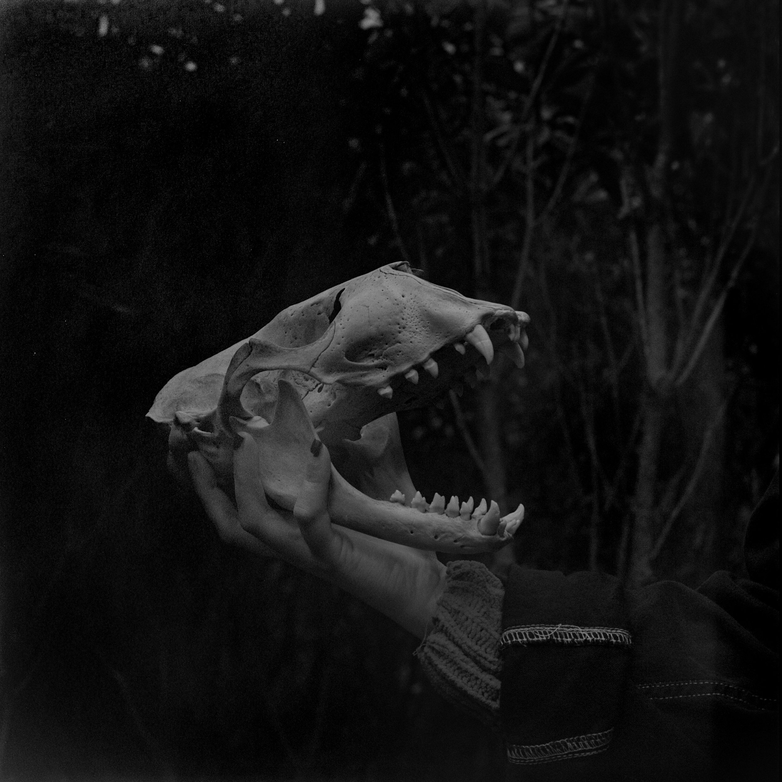 Marion 000003-2 B&W.jpg