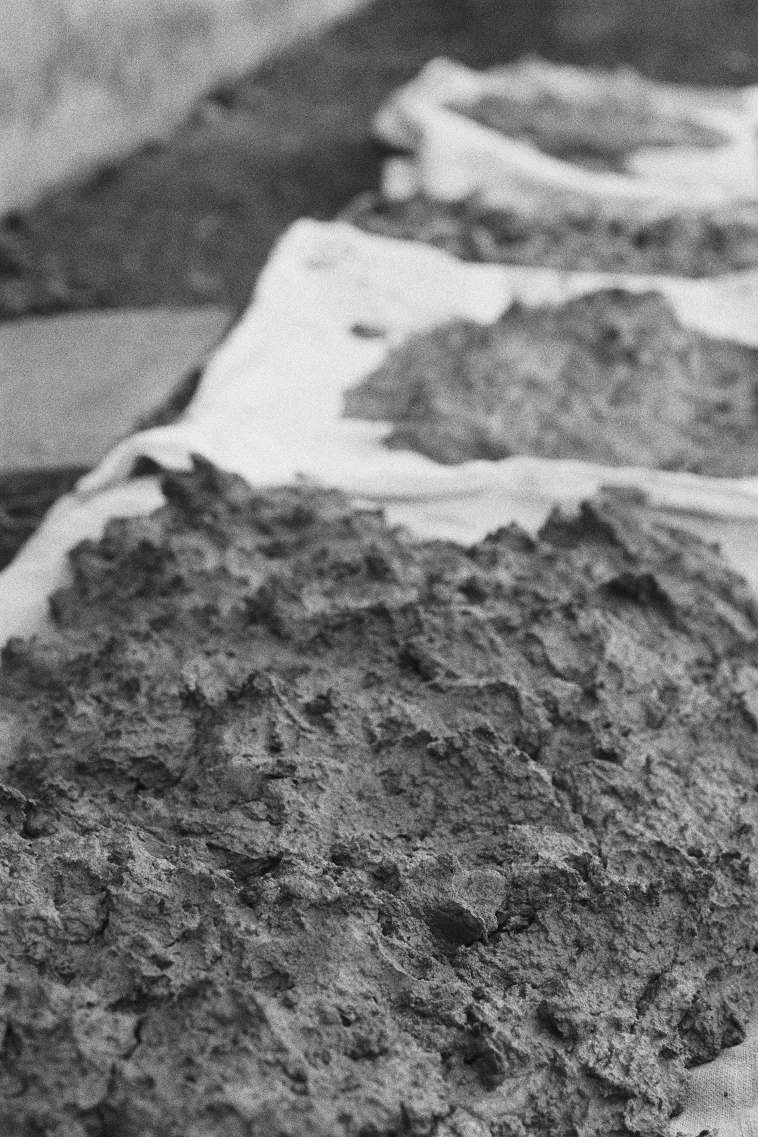 Wild Clay 000043.JPG