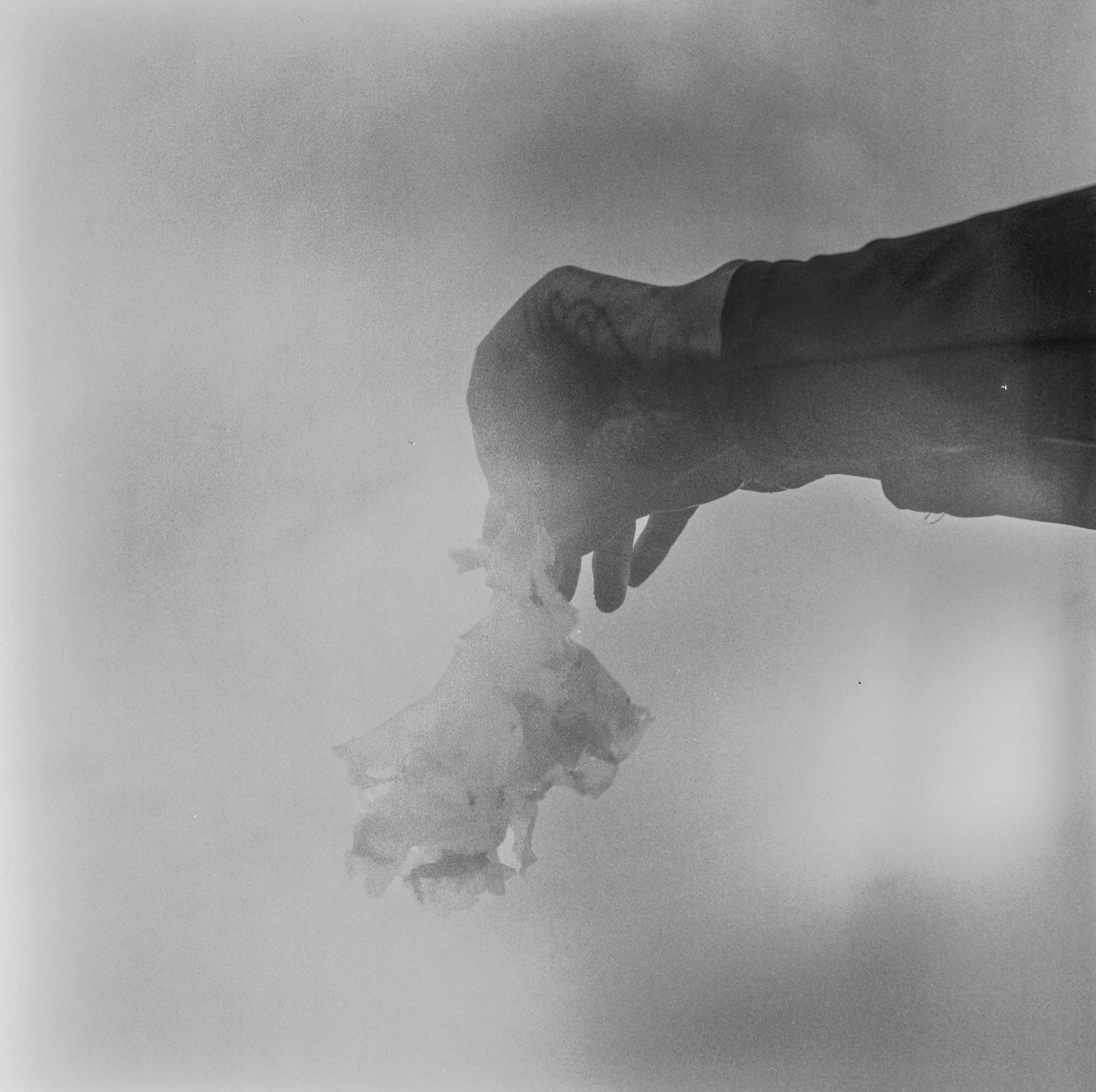 Hydra - Luzura - 000020470003.JPG