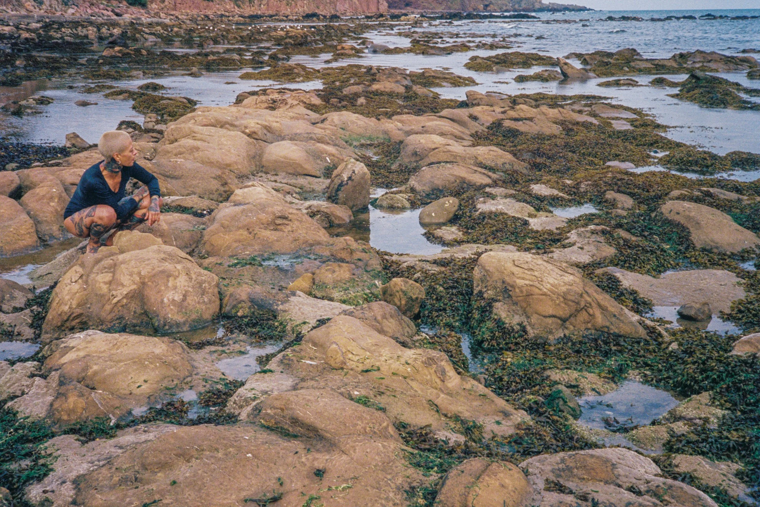 Hydra - Luzura - 000001.JPG