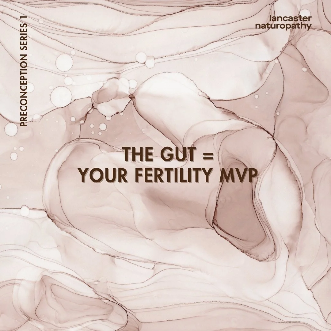 ~ The GUT &amp; FERTILITY ~ 
A very important combo. 

Starting preconception prep at least 3 months in advance gives your gut time to balance, absorb nutrients and regulate hormones. It&rsquo;s giving your body a head start for conception - the heal
