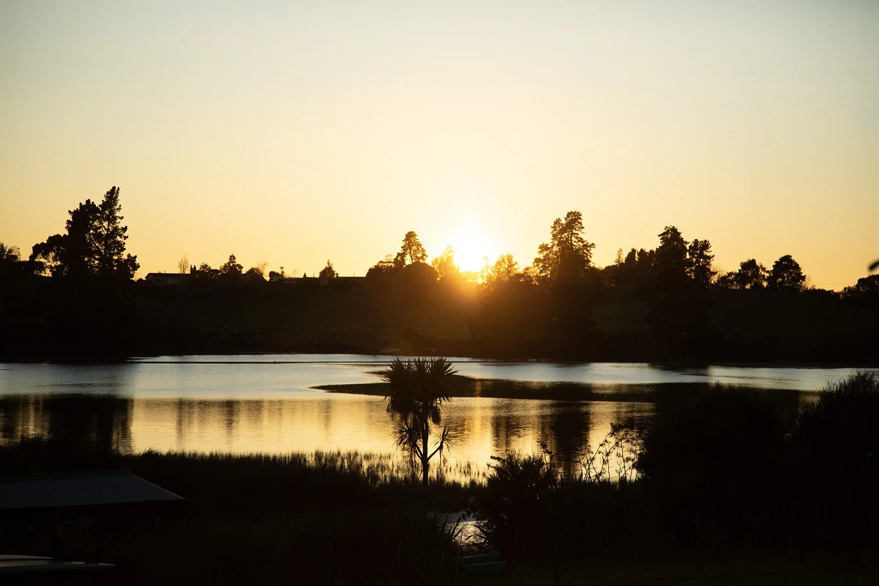 Sunset over lake and palms — Tasman views near Mapua accommodation