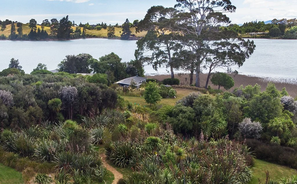 Riverside greenery and distant water — nature near Mapua accommodation