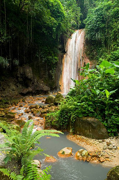 ST LUCIA PIC 3.jpg