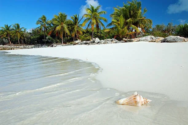 ST LUCIA PIC 2.jpg