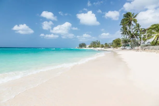 st kitts beach -612x612.jpg