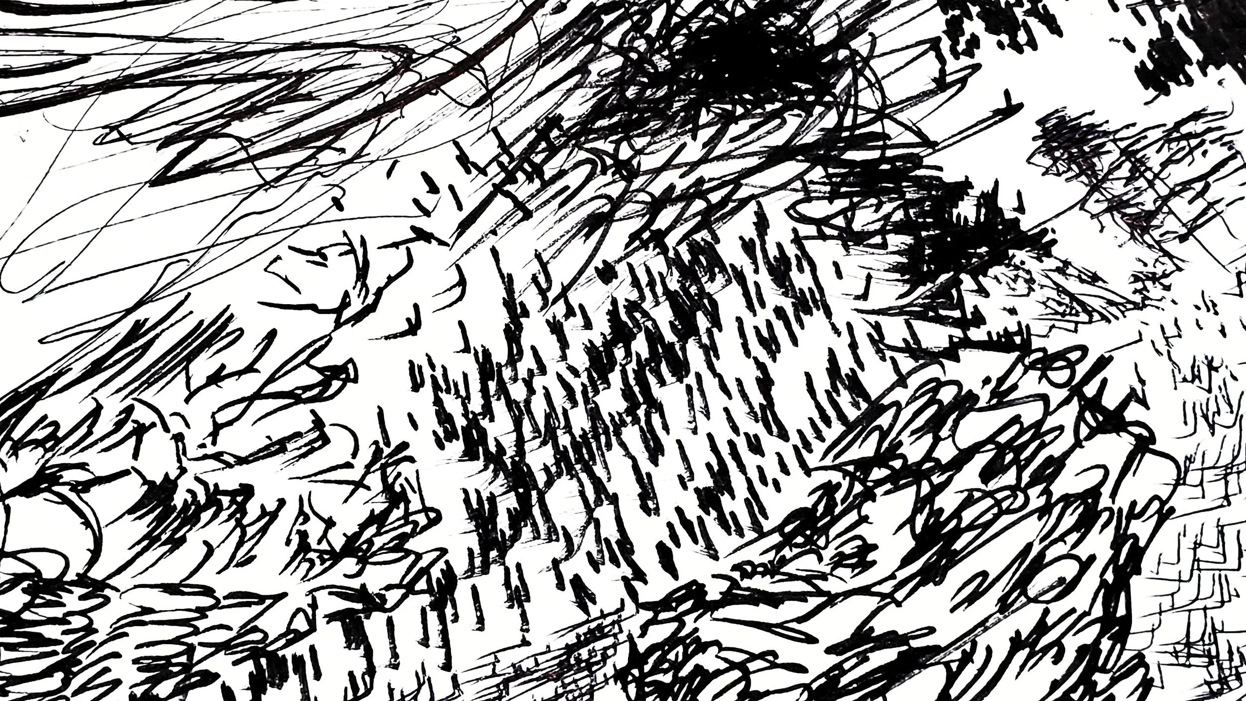 20250428_234829-01.jpeg