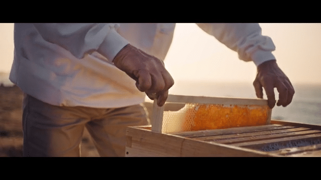 Moodtape Guerlain - Helmut Agency 