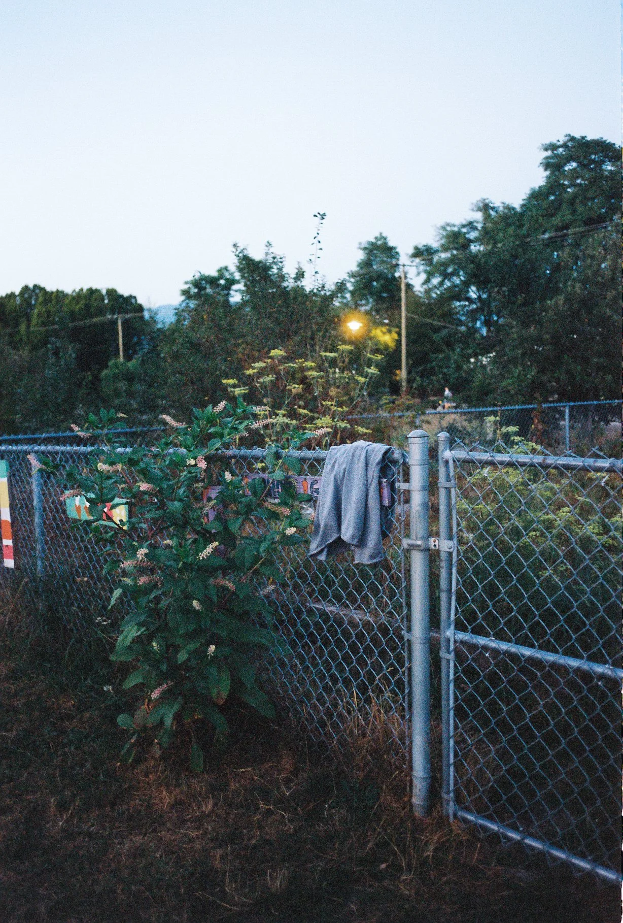 0009018_0009018-R1-021-9.jpg