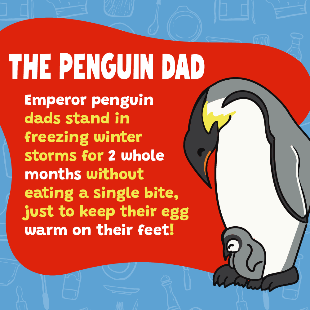 FathersDaySTEMPosts-01.png