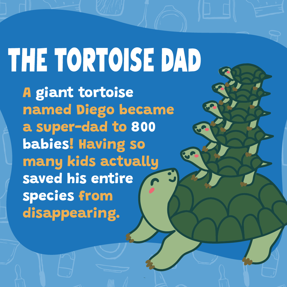 FathersDaySTEMPosts-03.png