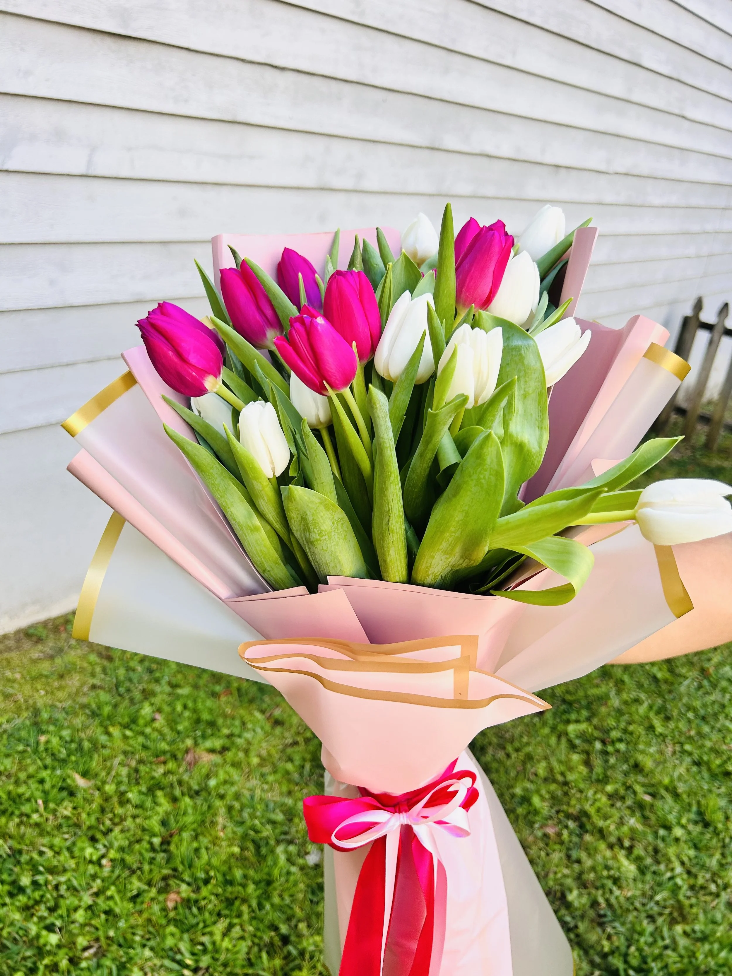 Sweet Tulip Dream.jpg