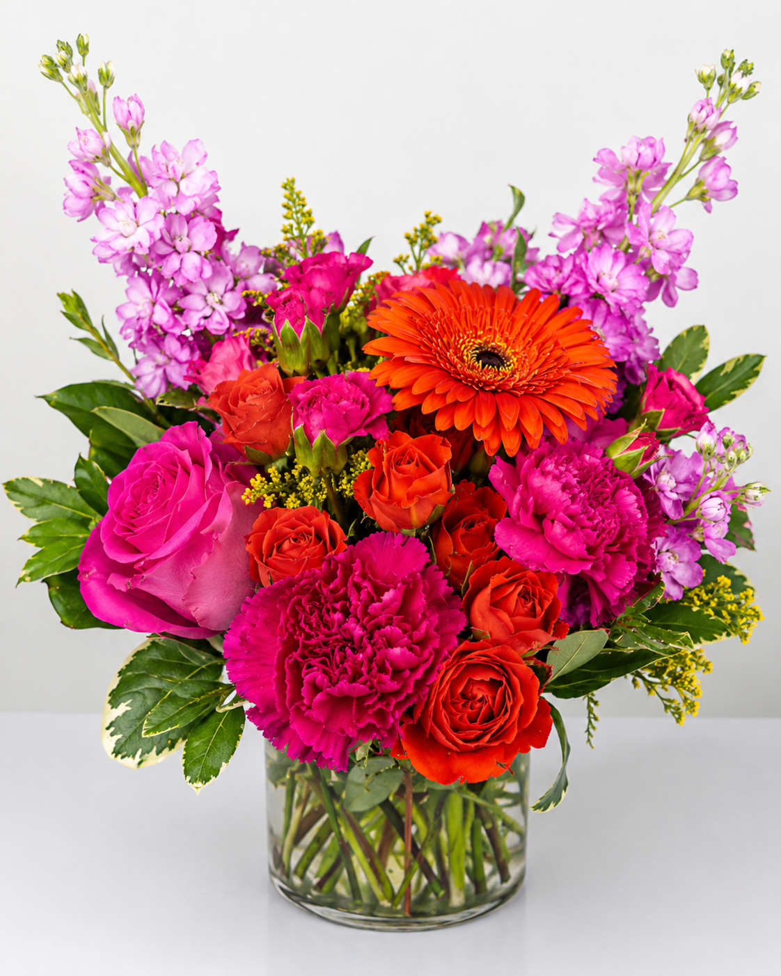 Fiesta Bloom