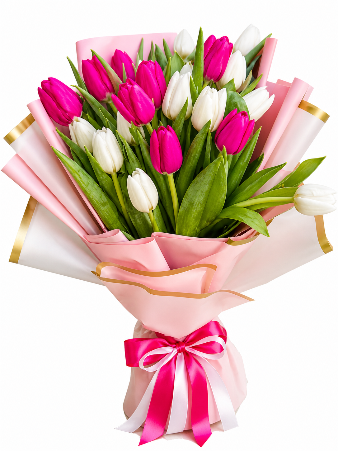 Sweet Tulip Dream