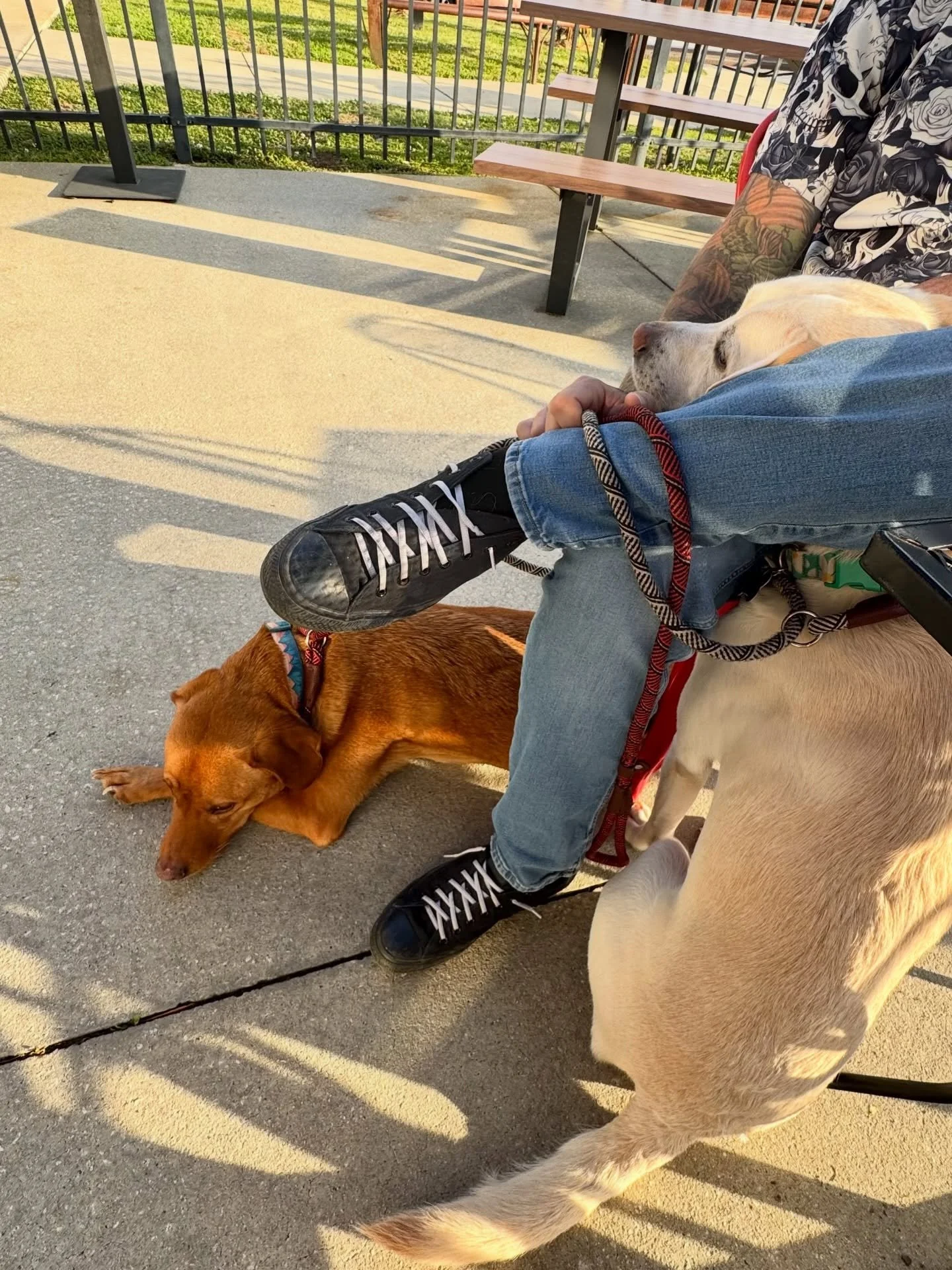 To the people that just recognized me on their way out and gave me a tiny wave and hurried away&hellip;thank you for saying hi and I&rsquo;m sorry I&rsquo;m crying in public again. :(