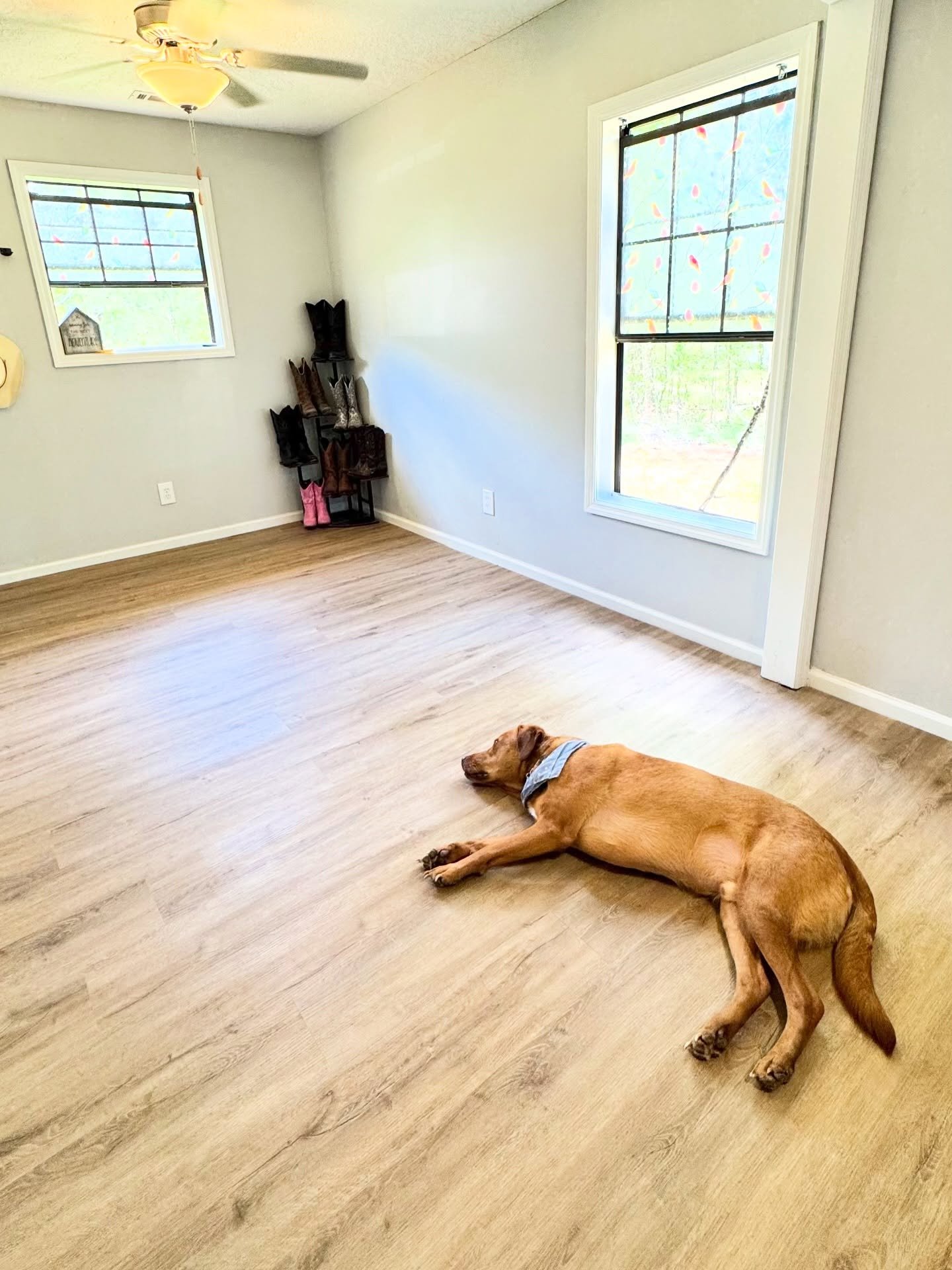 Our IKEA wardrobe things come in today. I anticipate a whole lot of building in our future. But, I also thought y&rsquo;all might enjoy seeing that we are using a plant stand for (some of) our boots. (There are many, many more pairs in the other room
