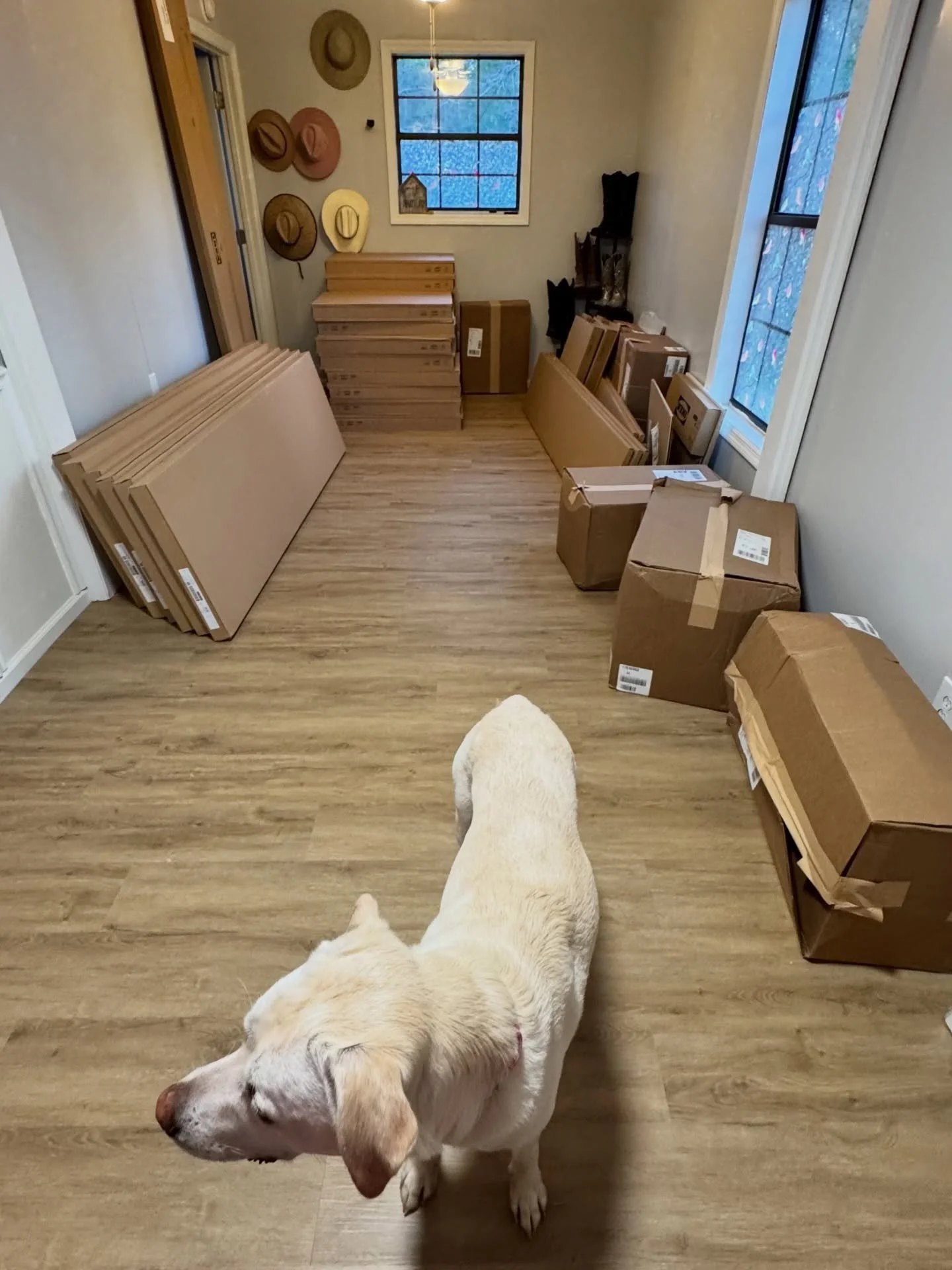 Two words. Holy. Moly.