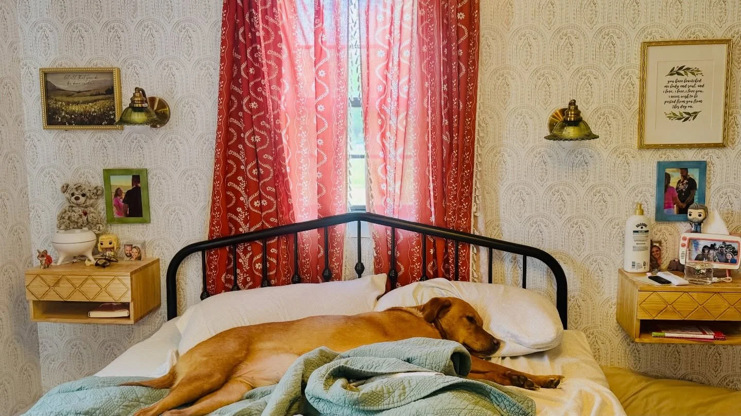 I&rsquo;m putting clothes away now that the closet system is all together. And I glance over to find that illegal has a name and it is Atticus. 
Sigh. 
I love him too much to make him move. 💜