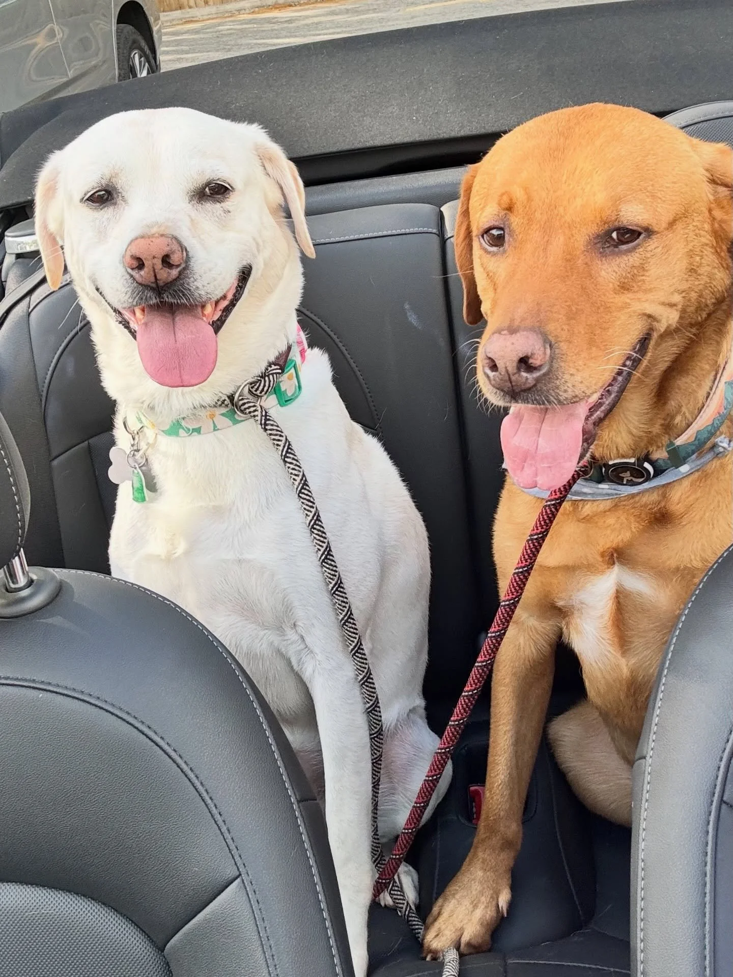 The twins are on their first ride in the convertible. They seem to love Minnie Pearl as much as we do. 
We went for a drive because facing another holiday is making me a little crazy. So we find ourselves with the top down in the sunshine waiting for