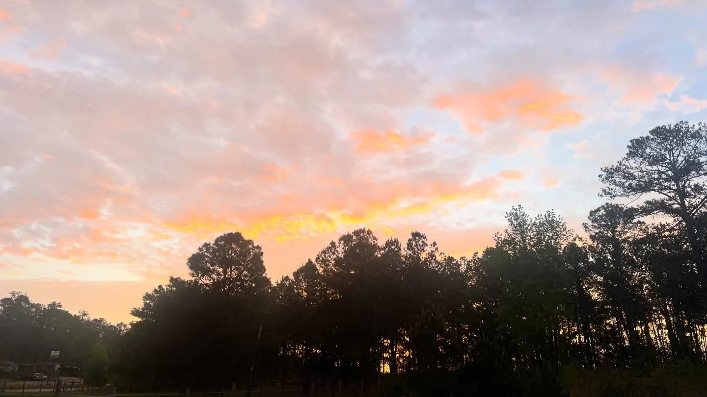 Good morning 💜
Happy Easter ✝️