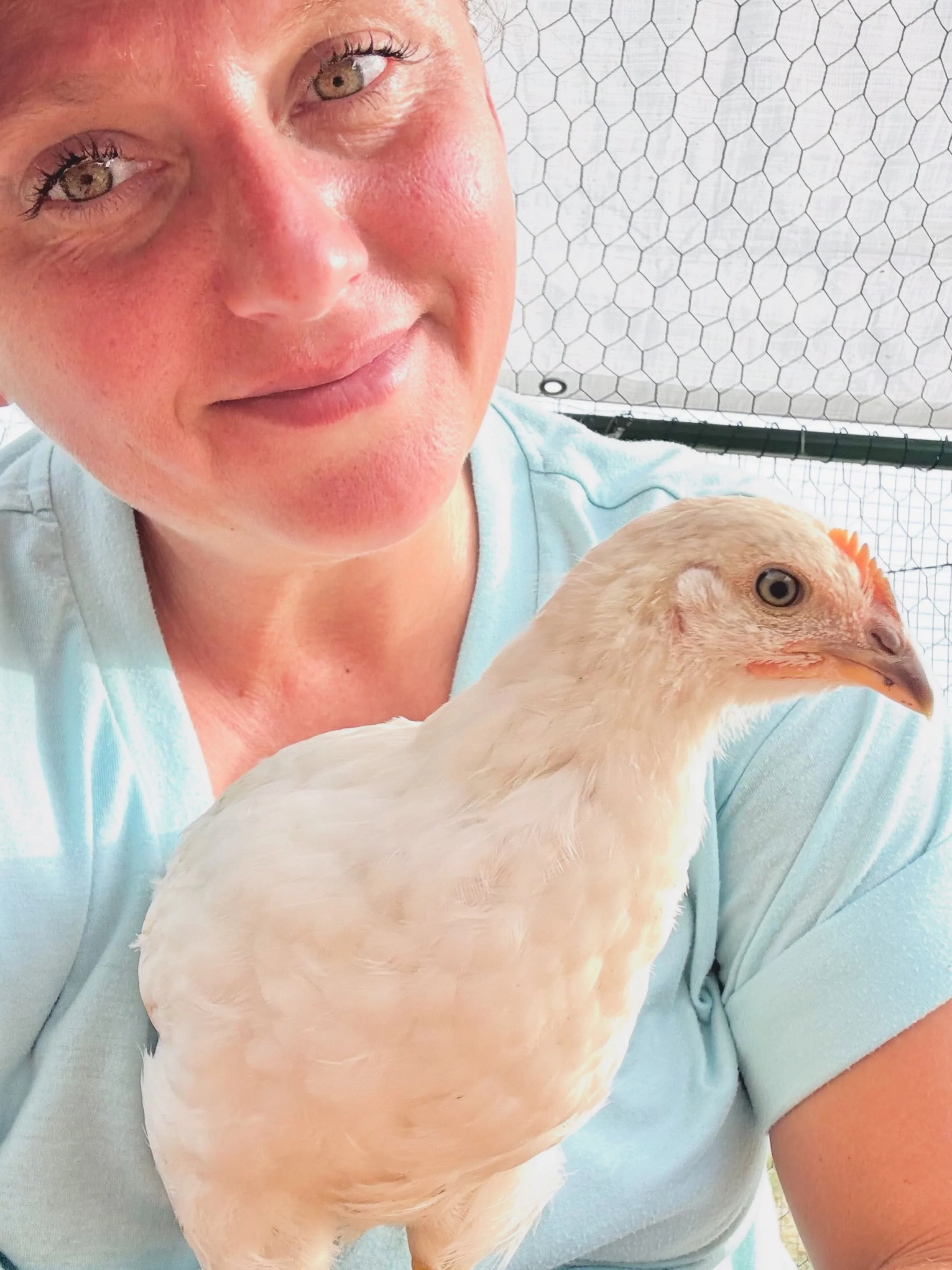 My favorite animal? Whichever one wants me to hold them right now 🤷&zwj;♀️ 
I&rsquo;m trying to find things to smile about. Can&rsquo;t remember the last time I smiled enough to show my teeth. 

#Corn #DolceDarlin #DarlinFarm