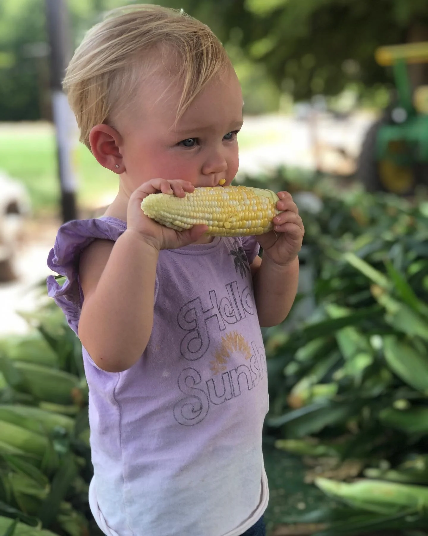 Hauser & Hauser Farms