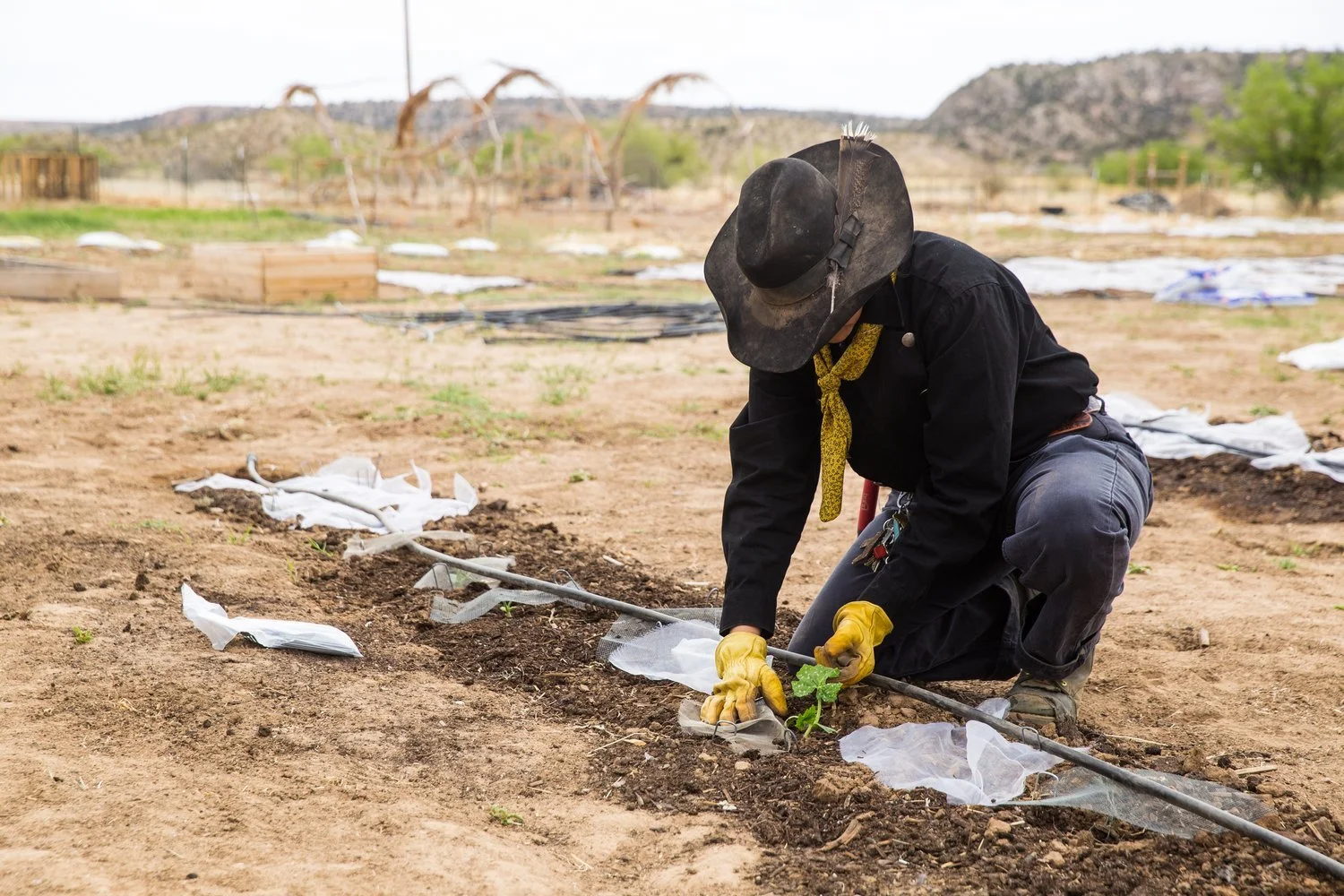 Are You A Farmer or Rancher Seeking Grants?