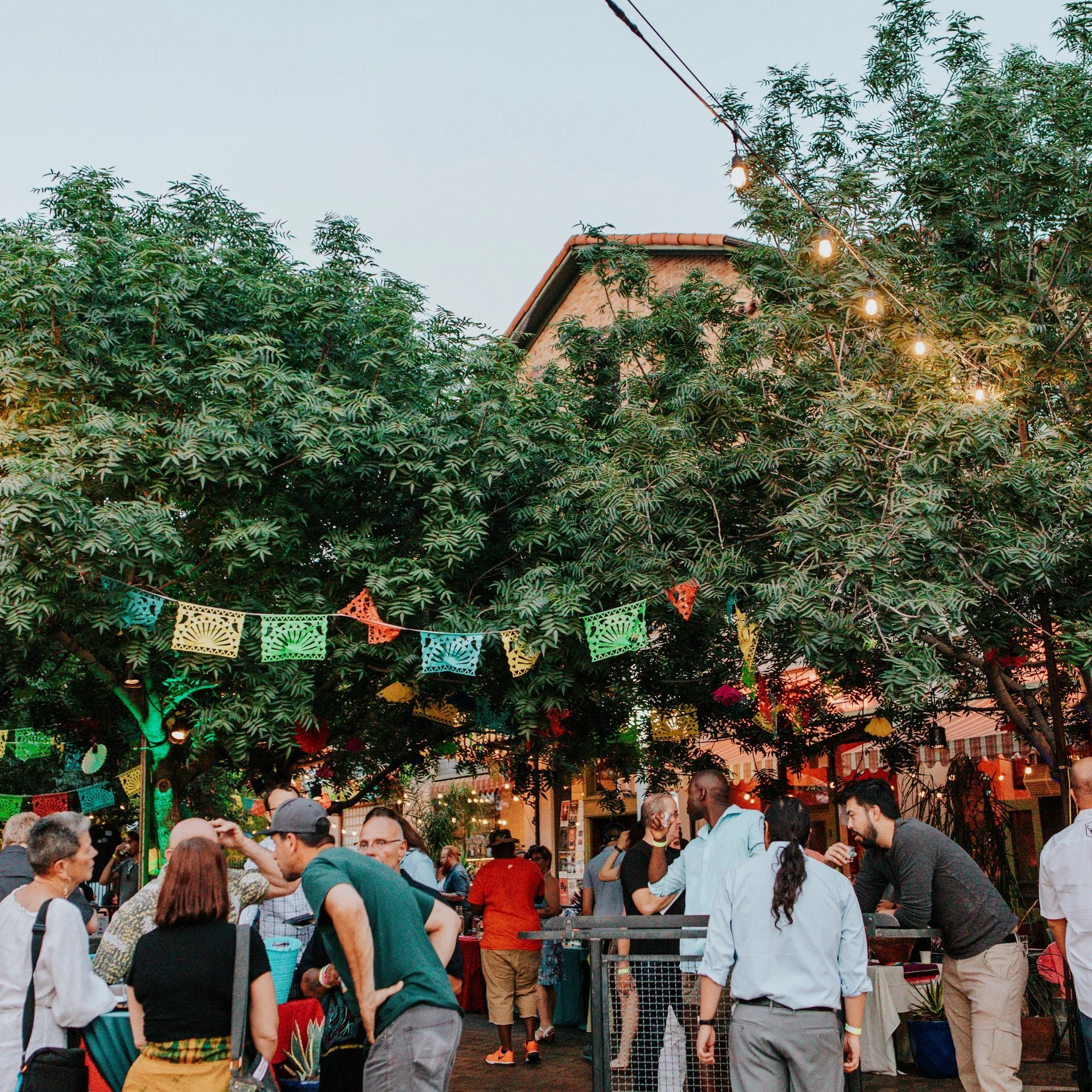 The Agave Heritage Festival