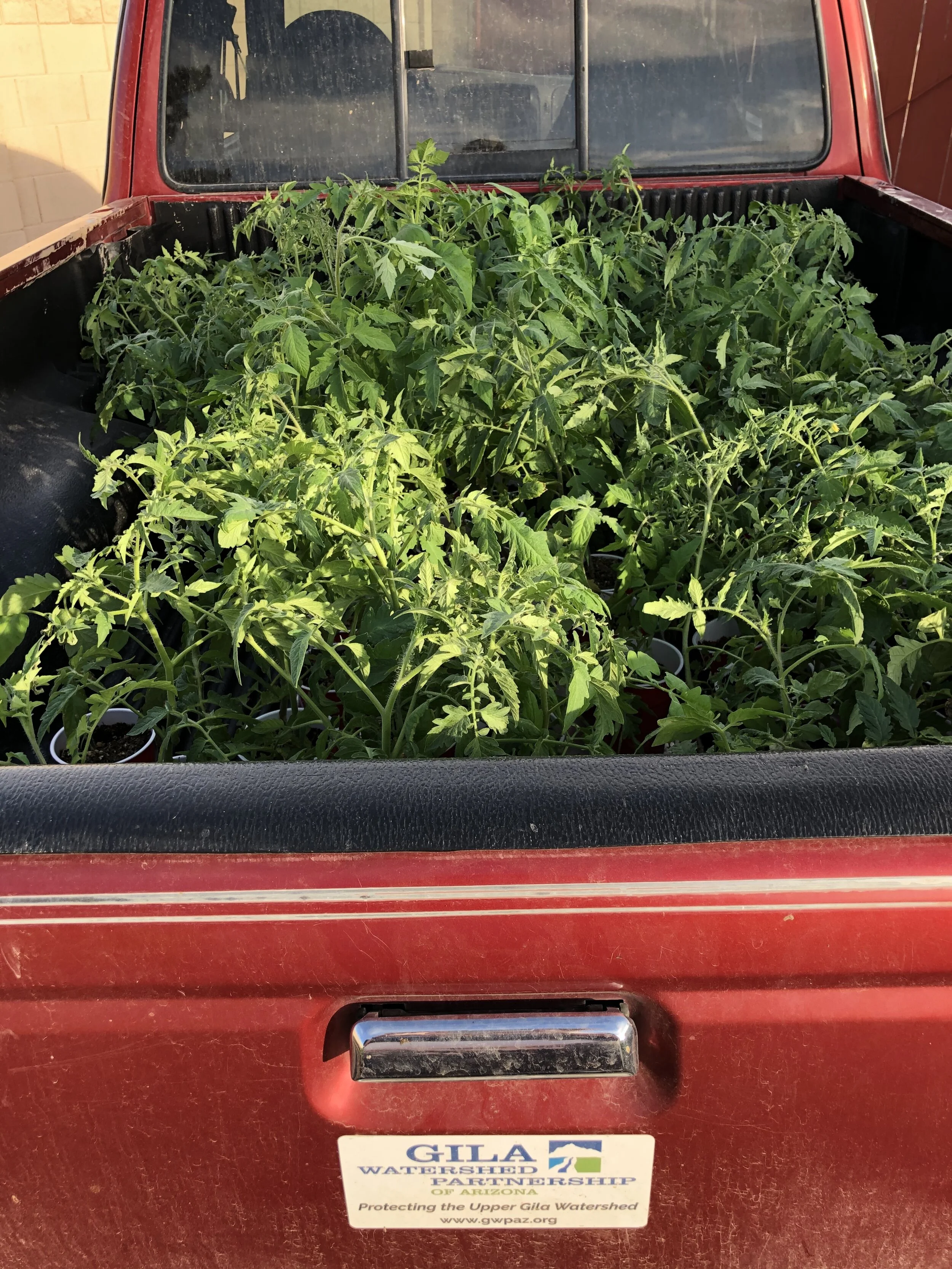 Bricktop Tomato Co. 