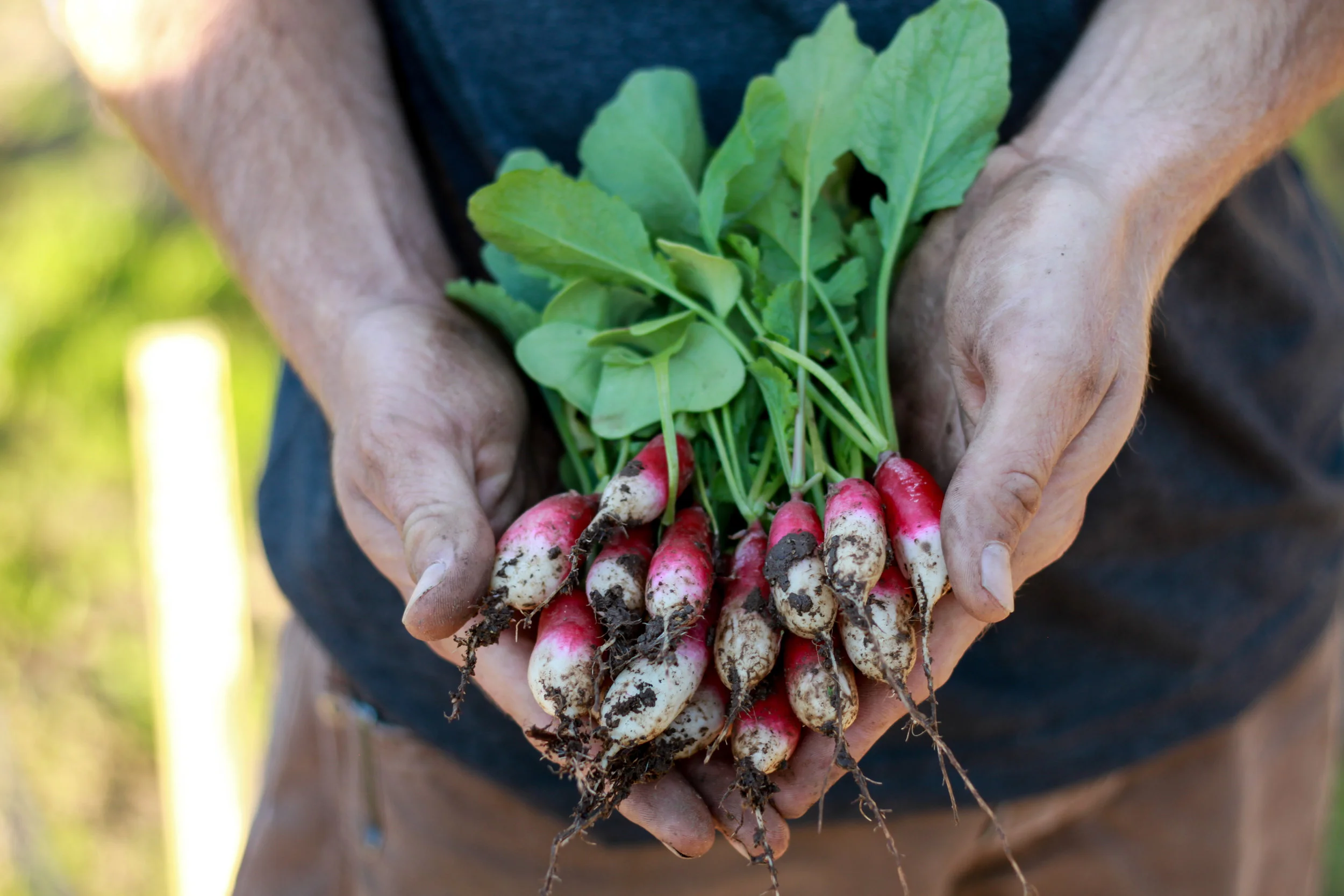 Food Safety for Farms — Devour Good Food