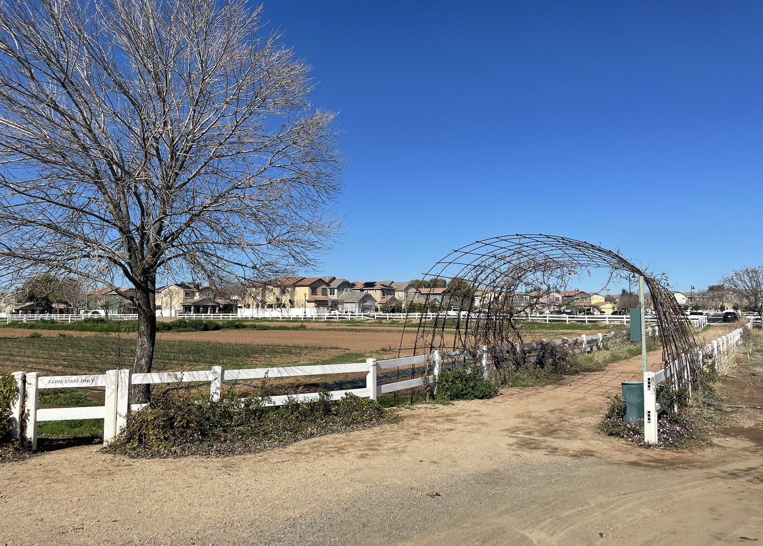 Welcome to the Agrihood