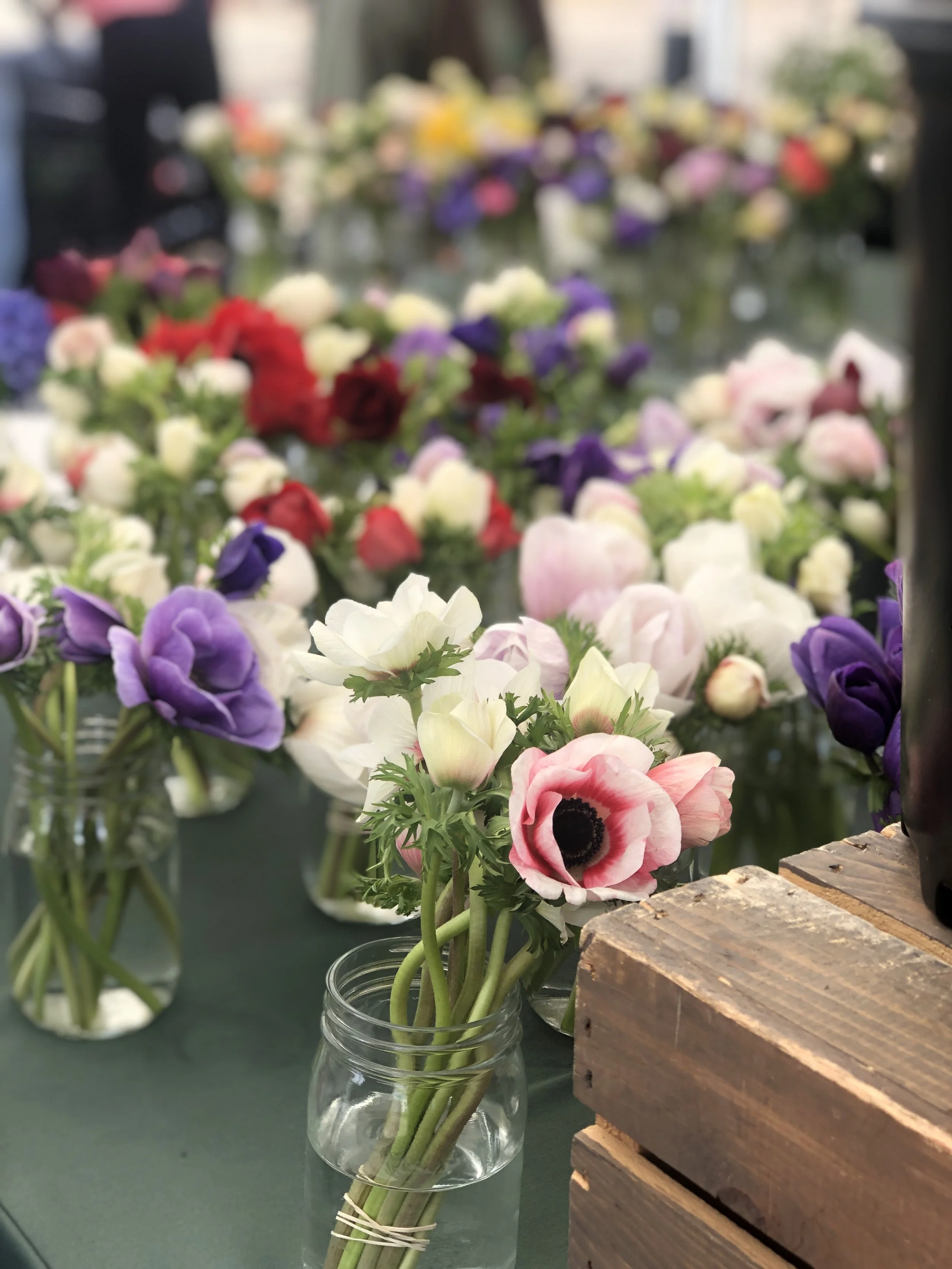 Spread the Local Love: Where to Buy Arizona Grown Flowers and Artisan Chocolate 